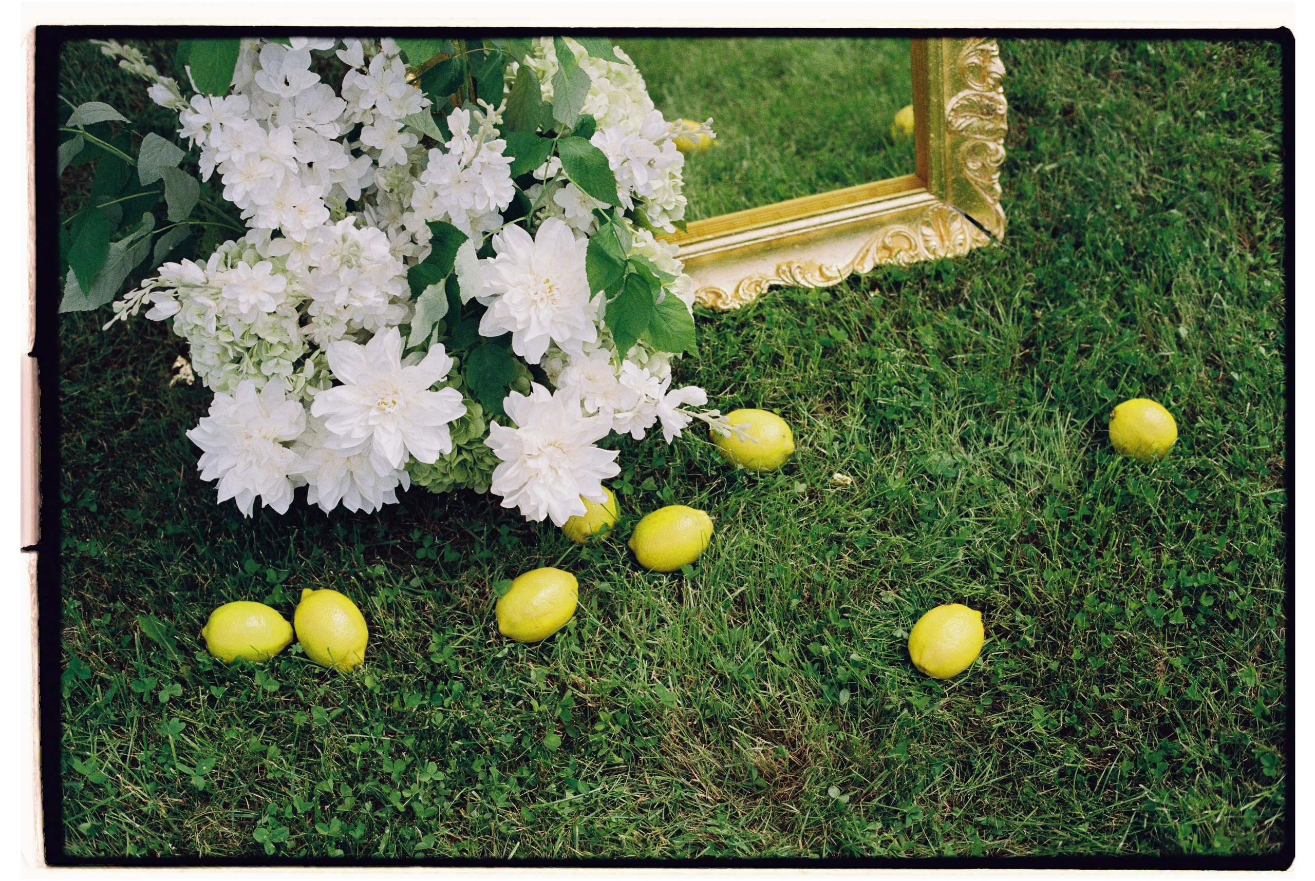 Пленка. Фотограф Андрей Куськало