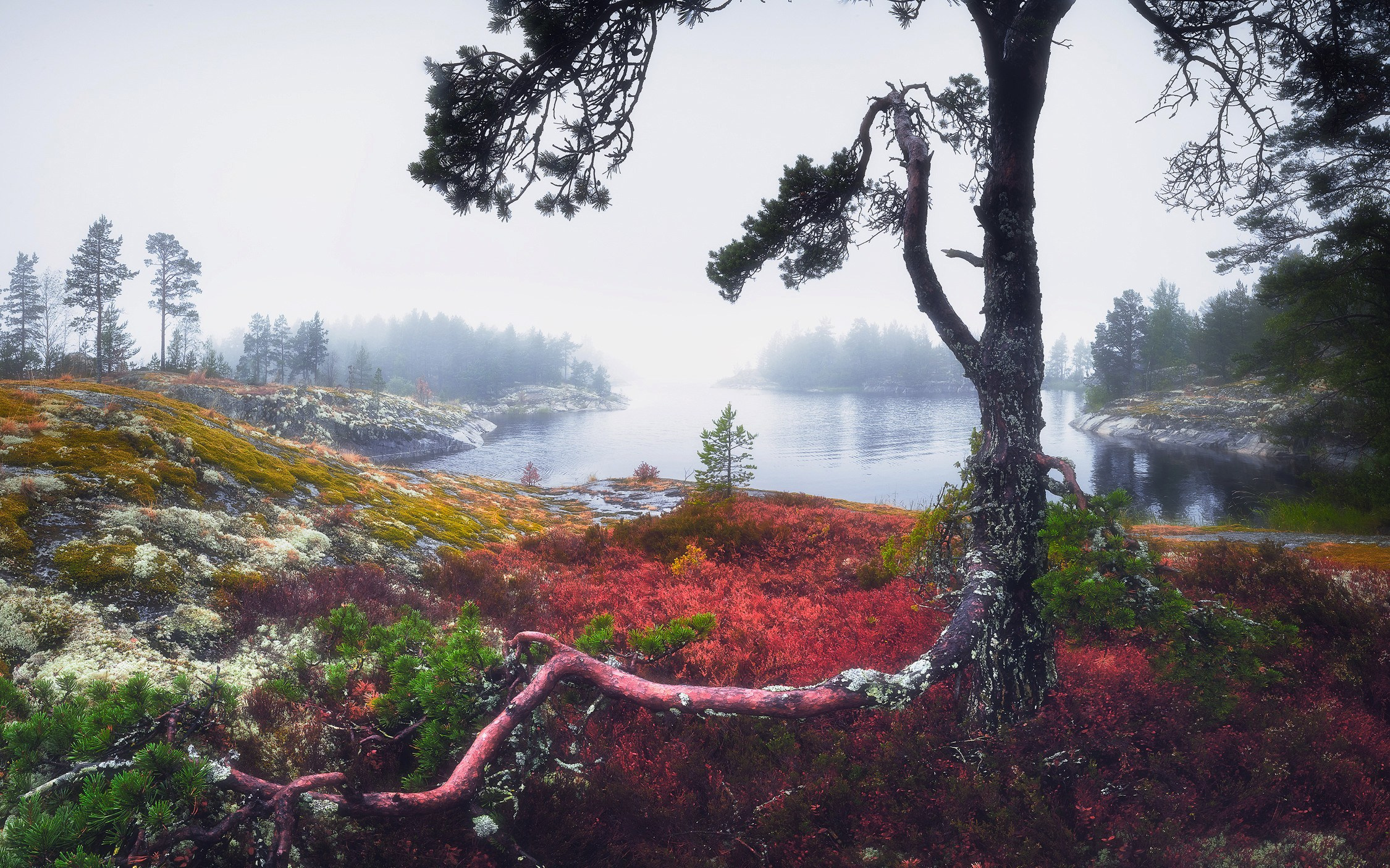 Красота природы. Фотограф Кононов Антон