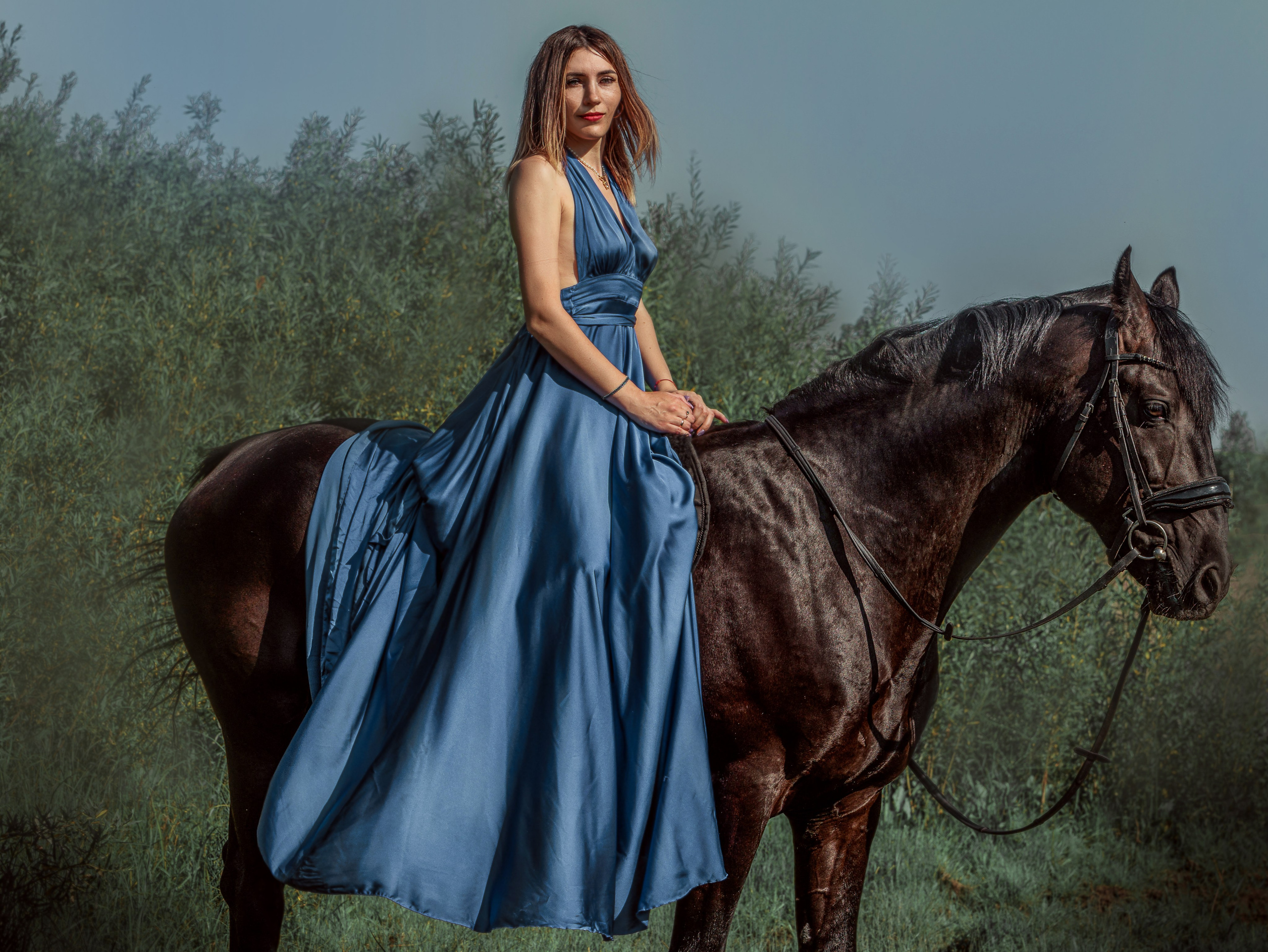 Лошади Емельяново. Конный фотограф в Красноярске — Любовь Похабова