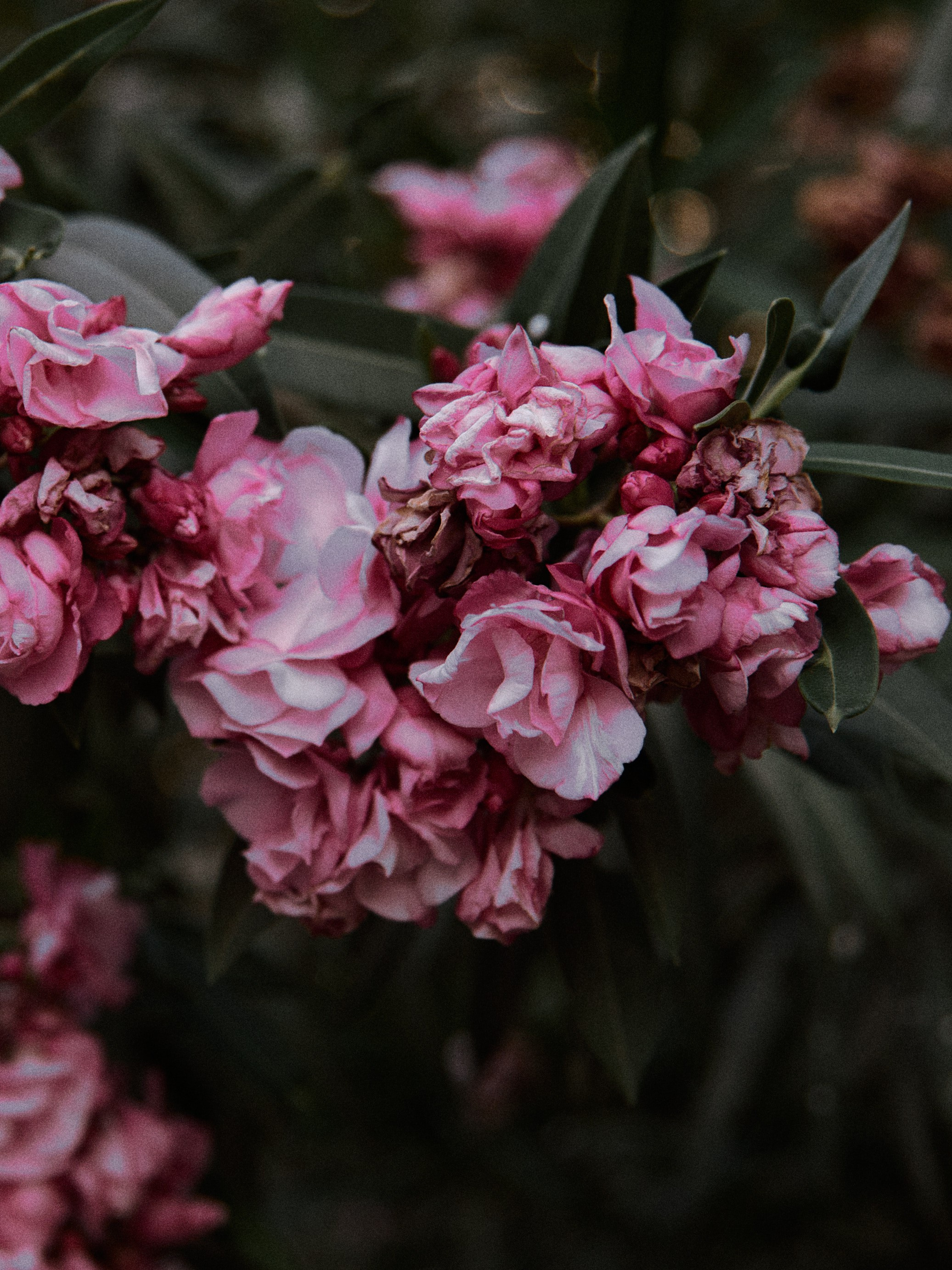 Природа. Jorgis Talè — photographer, kind person, teacher of arts and other mag