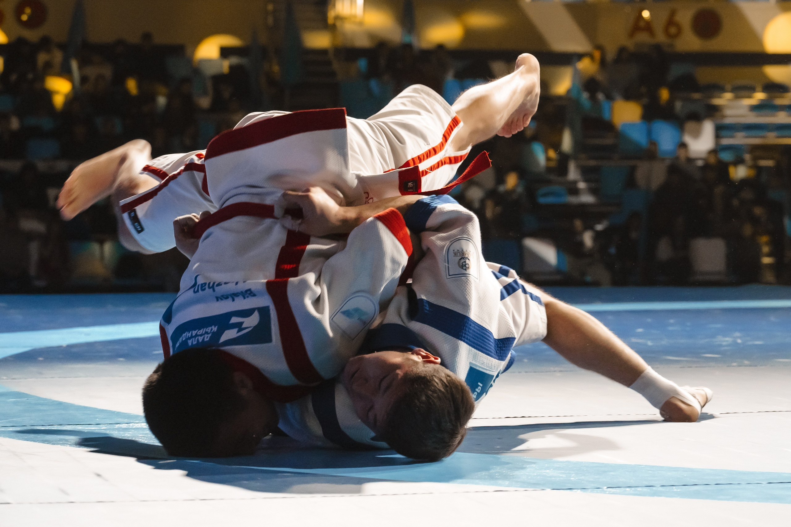 Qazaq Kuresi 2023. Профессиональный фотограф в городе Астана Копанев Данил