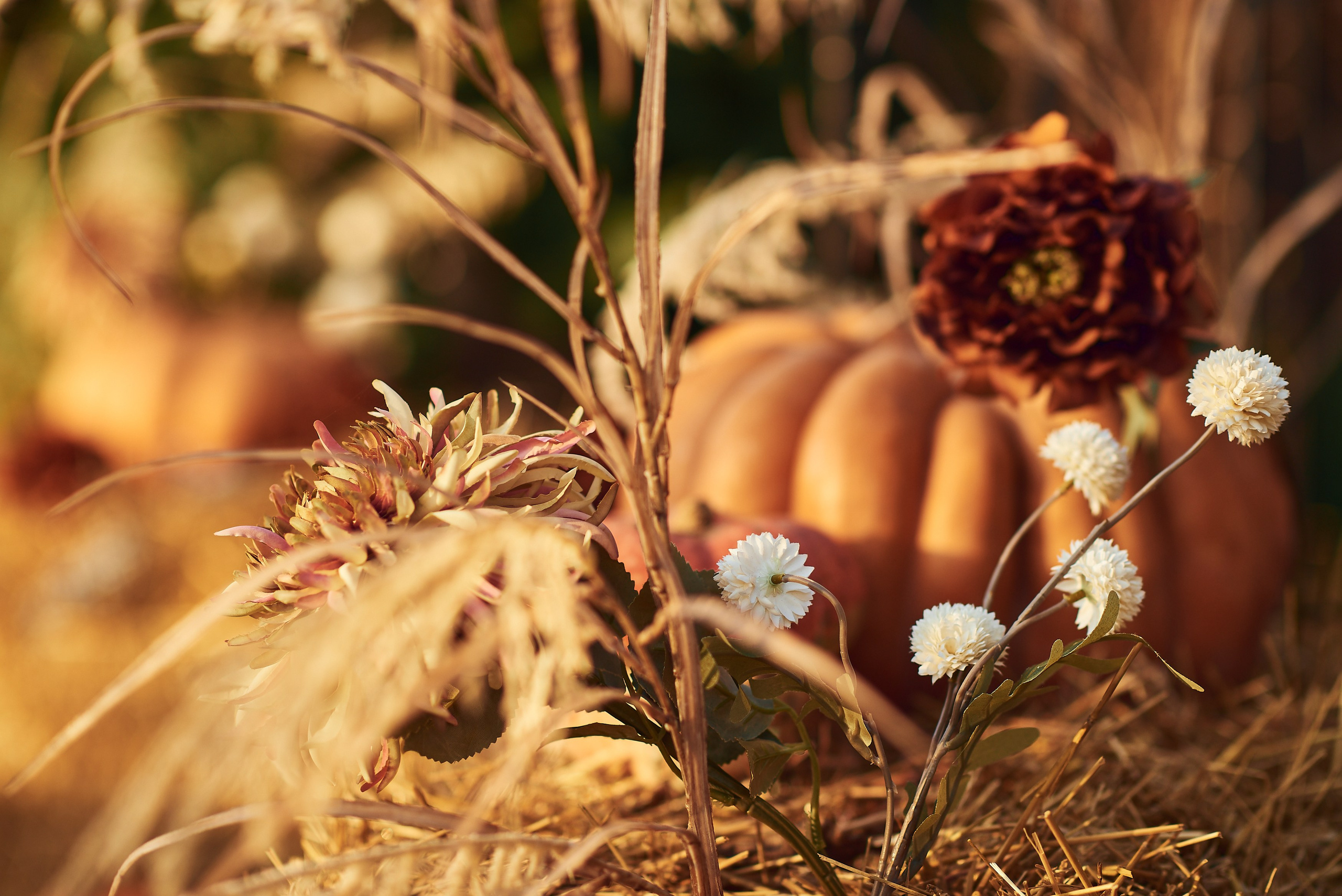 Фотосъемка декора и оформления мероприятий