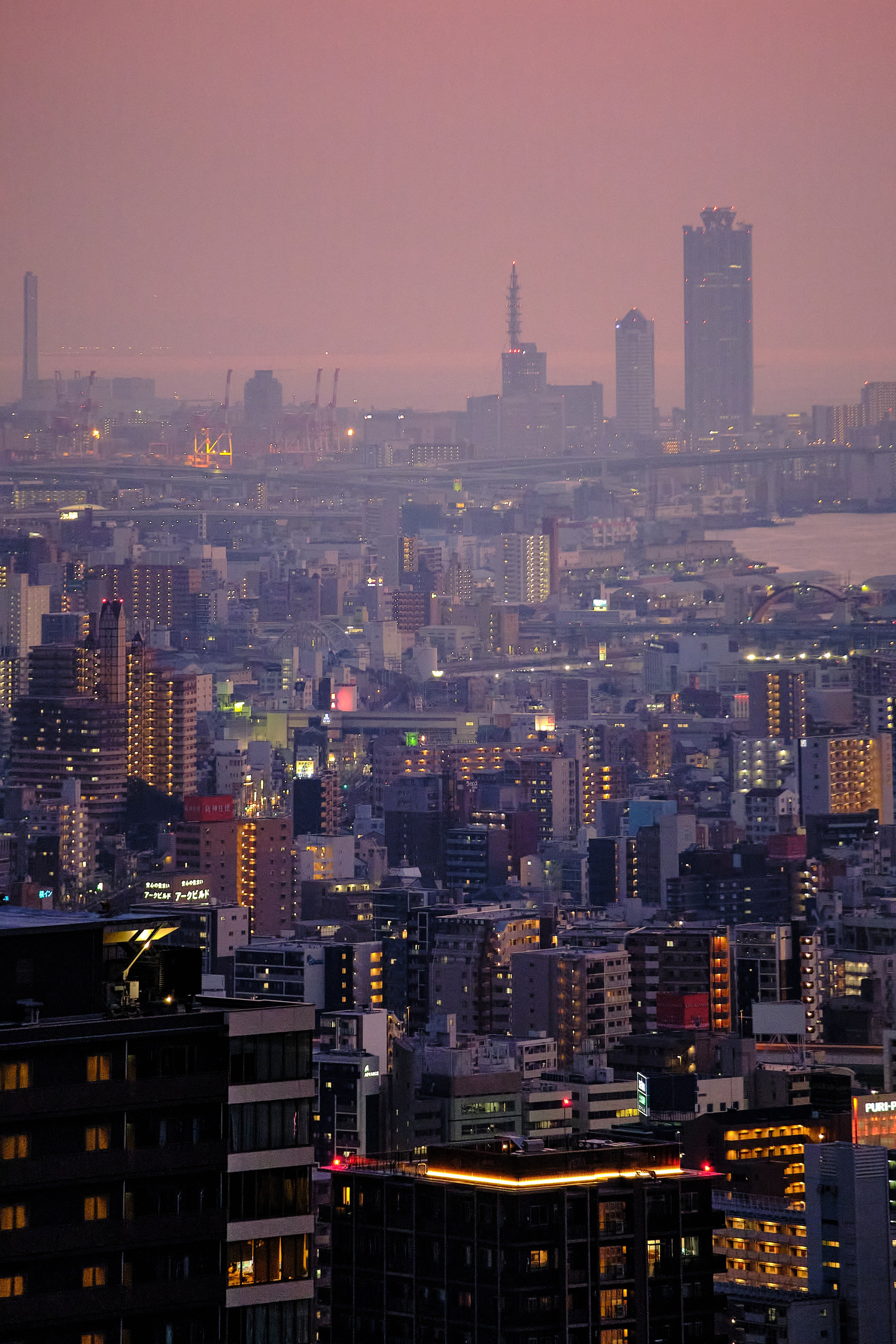 Japan / Osaka≫Kyoto≫Tokyo. Aleksandr Kobtsev