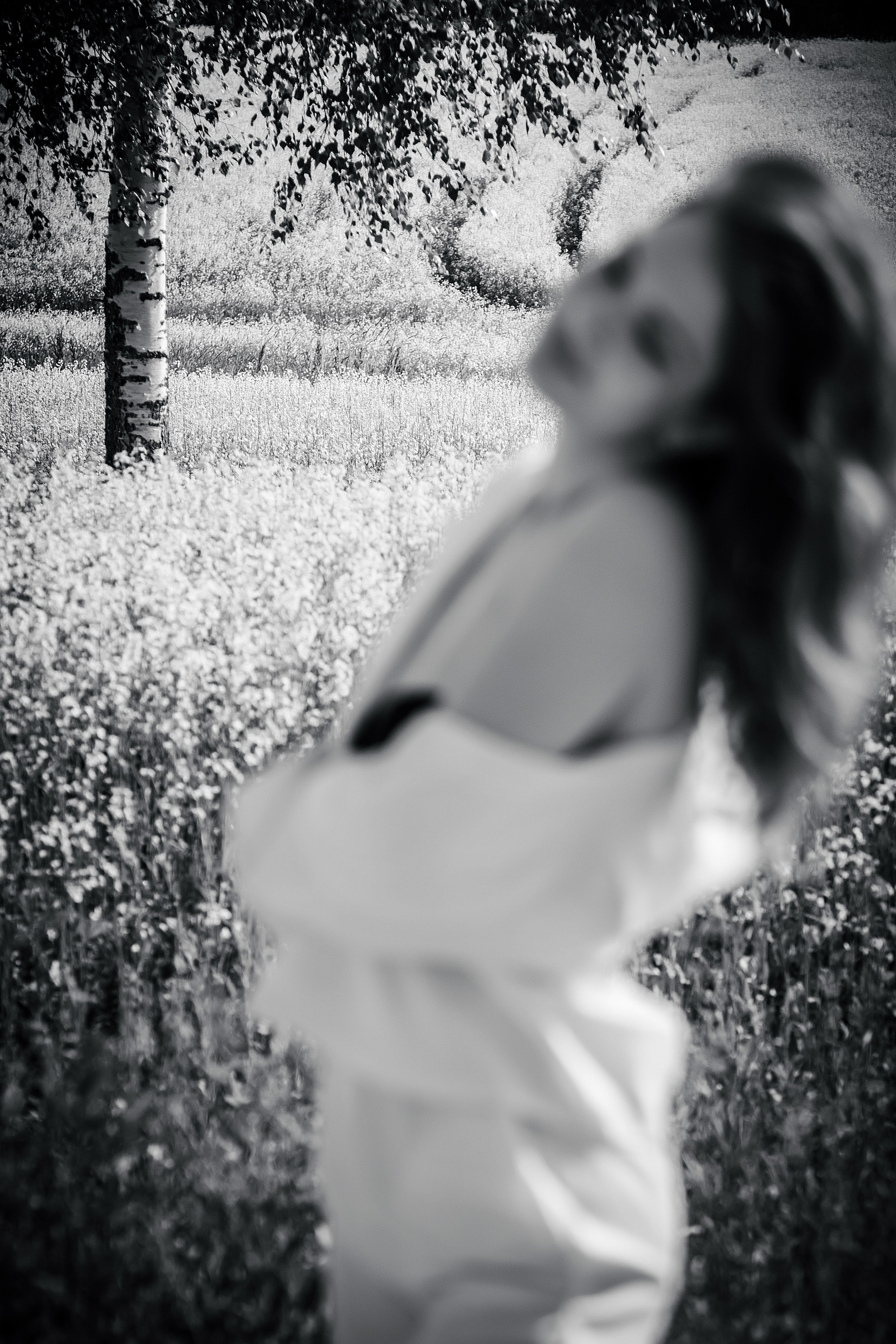 Фотограф в Кашине Калязине Кесовой Горе. Евгений Копайсов | официальный сайт