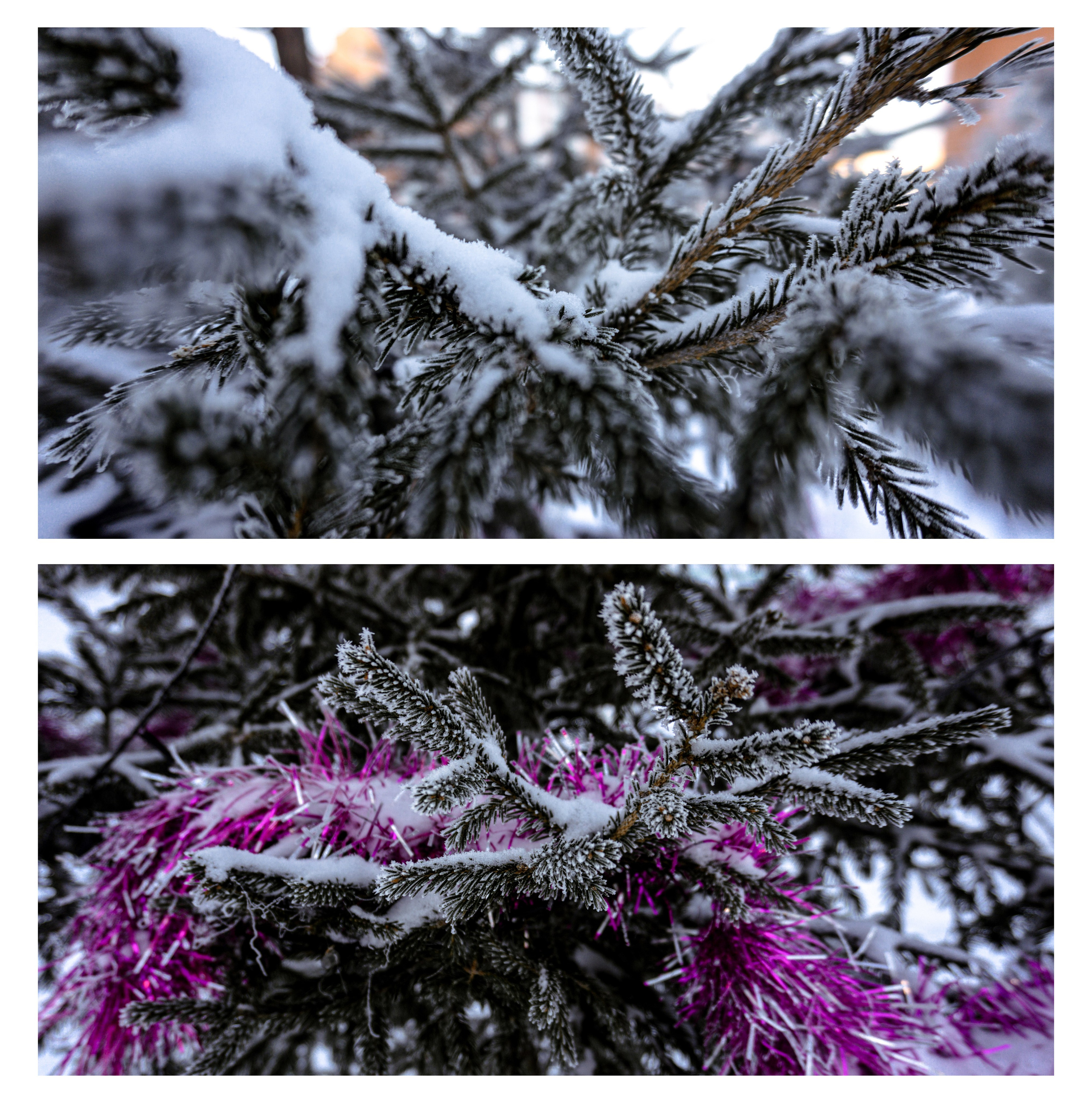 30.12.2025 | Сосновоборс. Kuznetsov | Фотограф в Красноярске