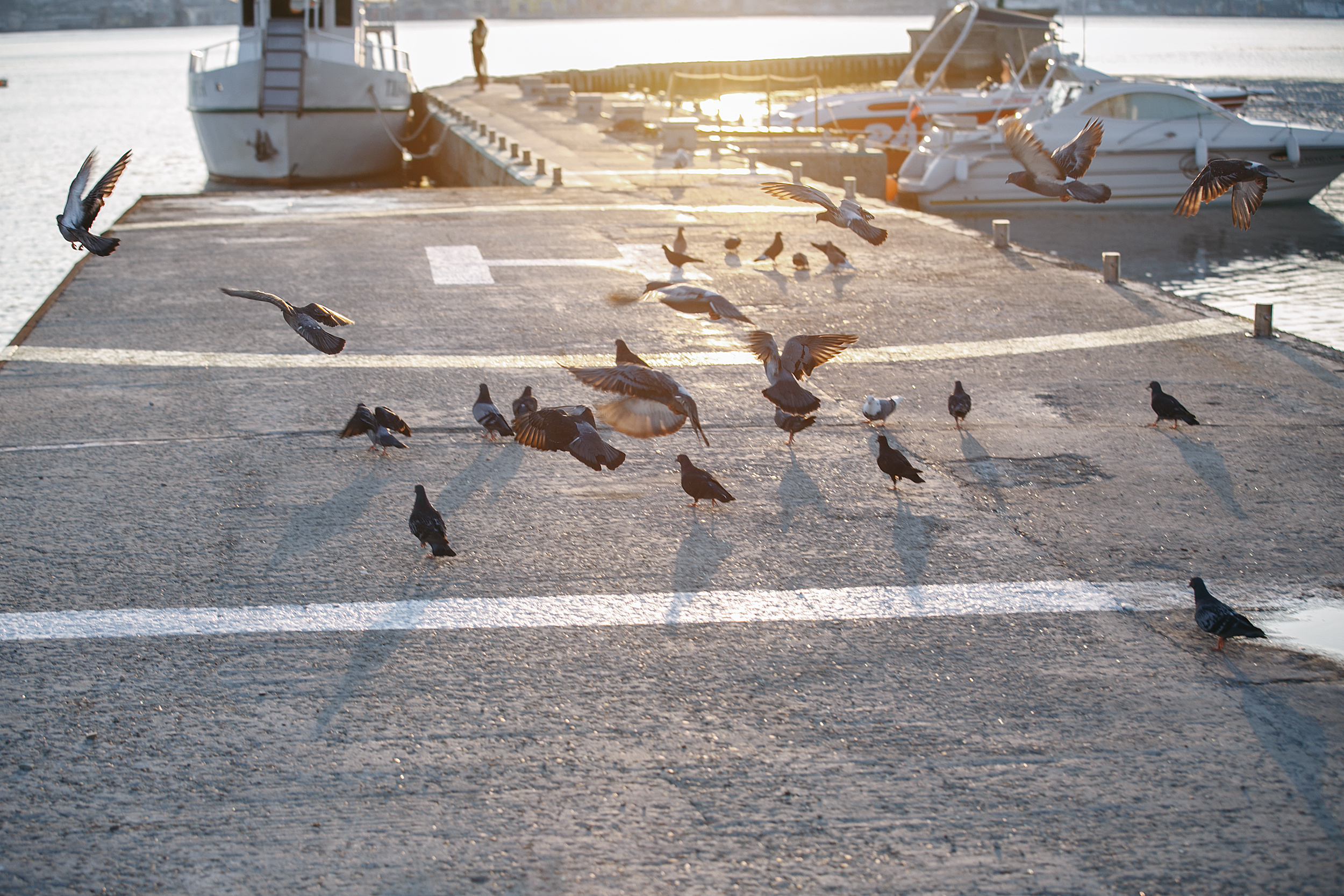 Alena. Фотограф Максим Маркелов