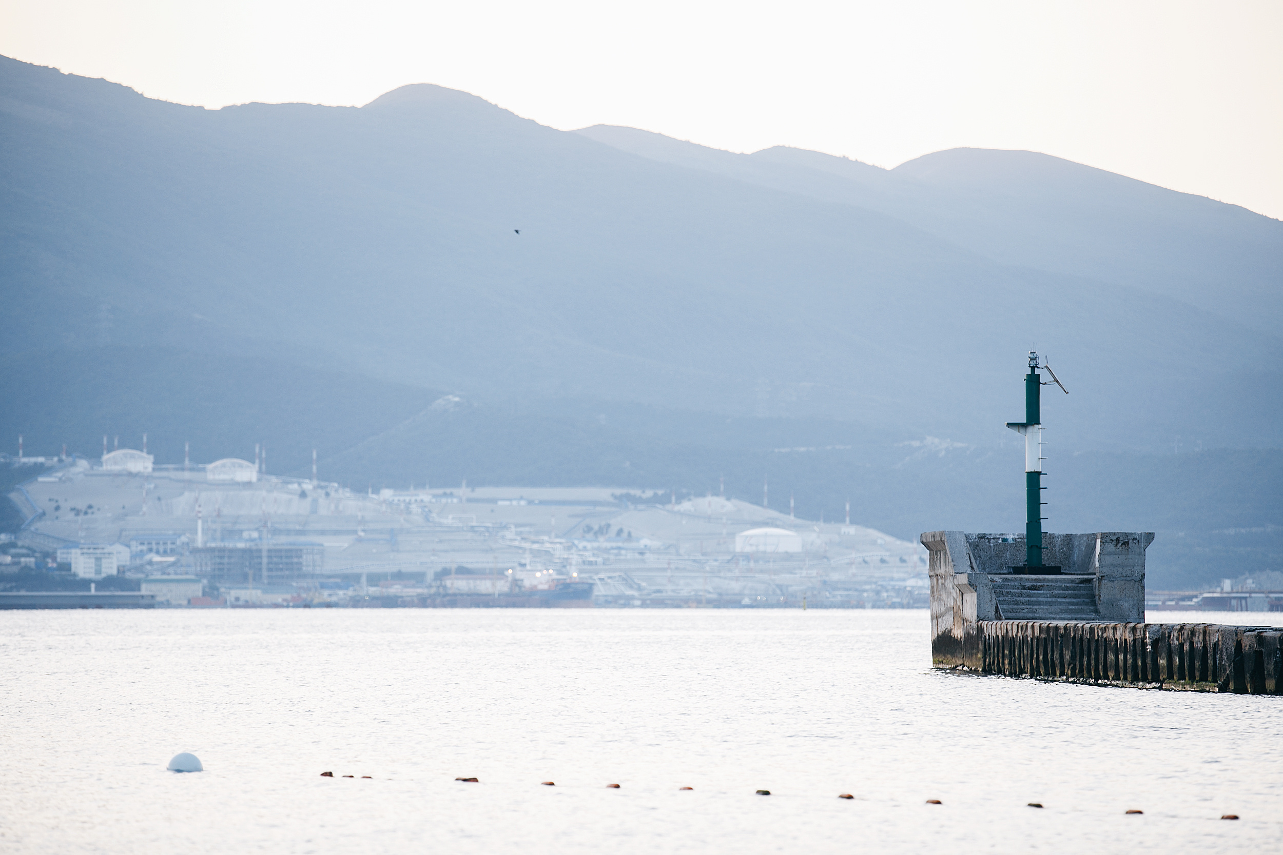 Alena. Фотограф Максим Маркелов