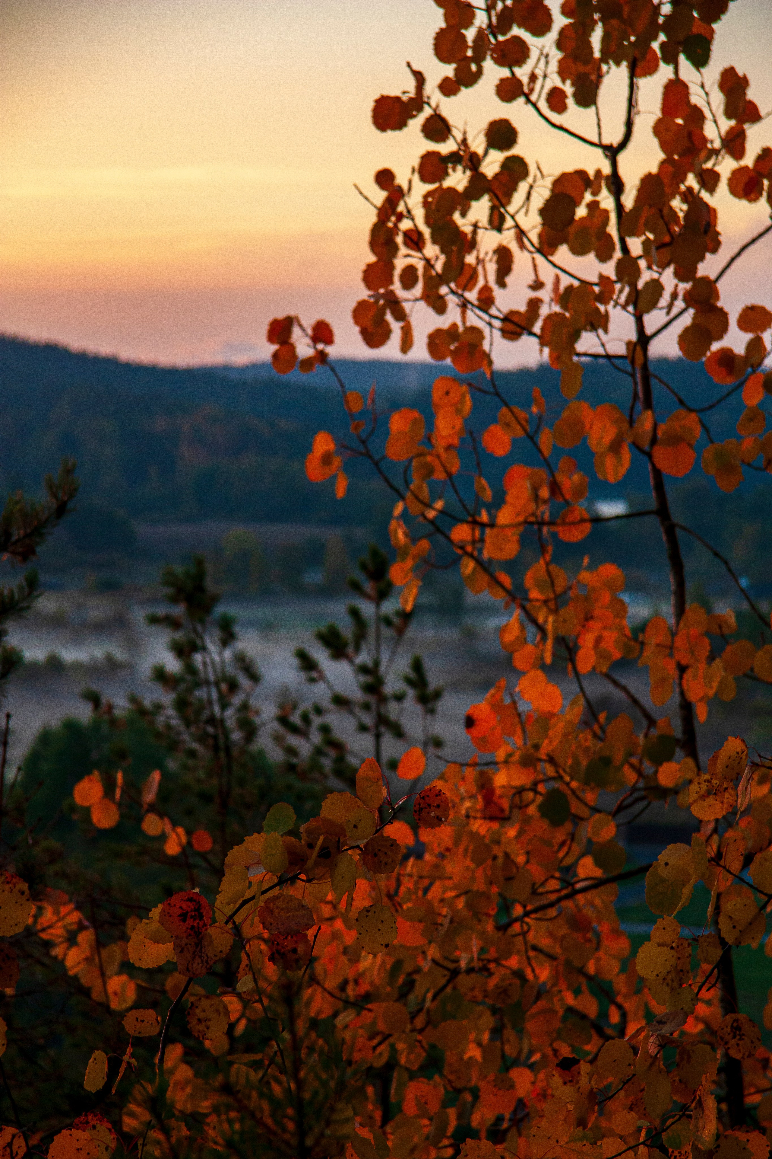 Пейзаж. Фотограф Люся Воробьева