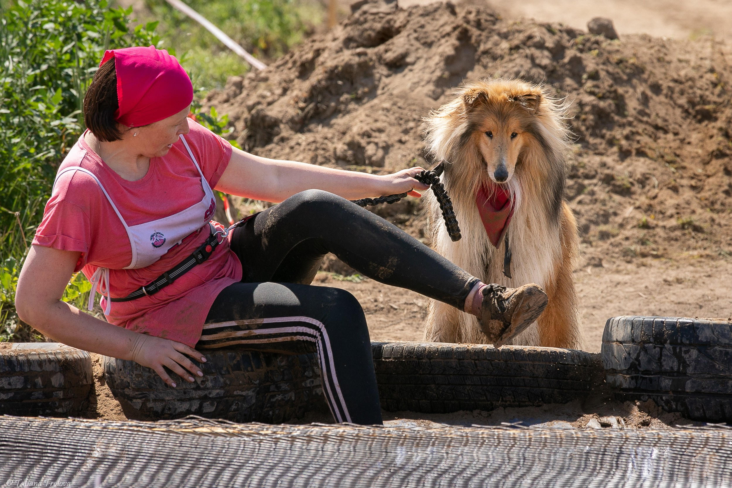 Фоторепортаж с забега с собаками. Фотограф-анималист в Москве и Московской области Татьяна Фролова