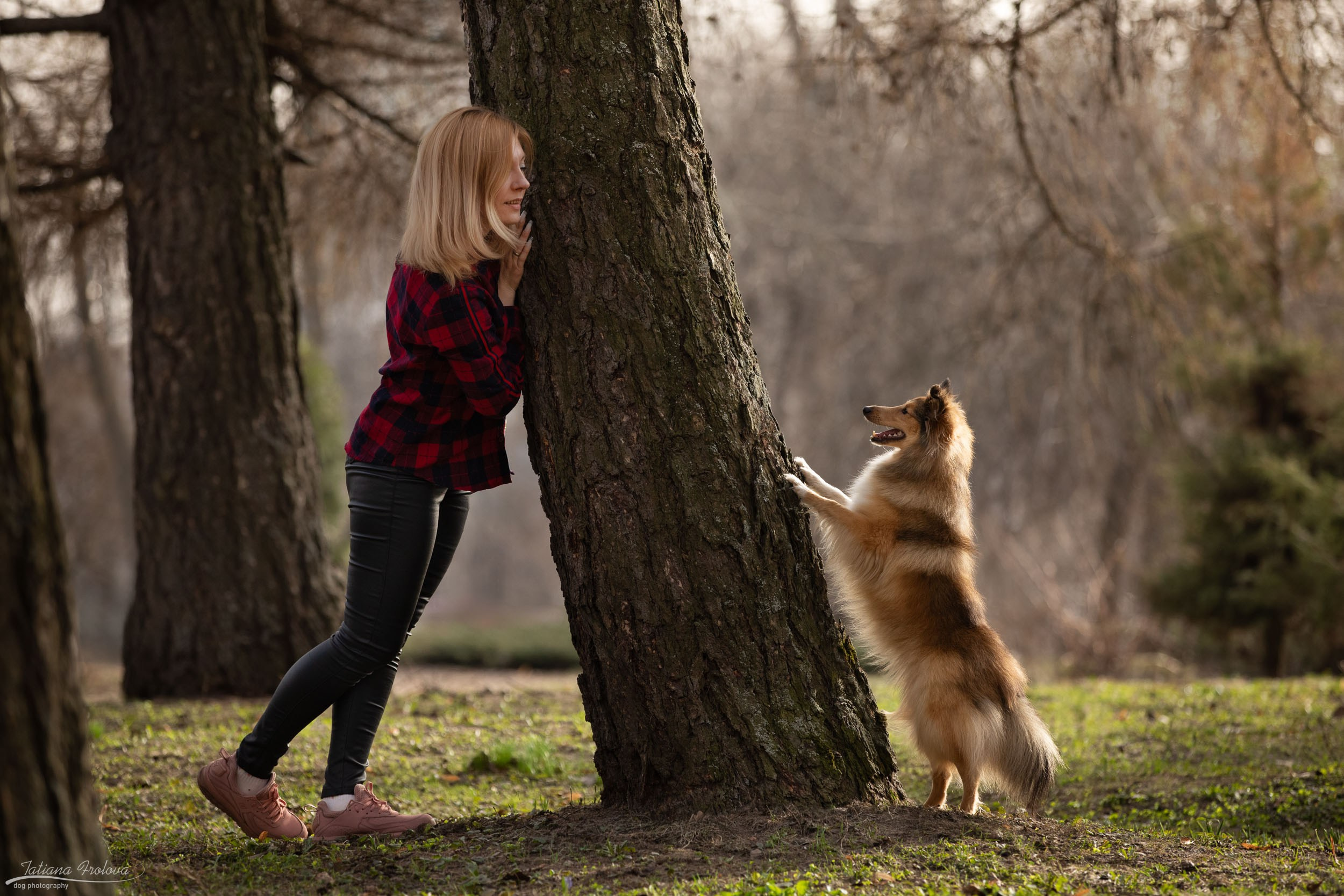 Фотопрогулка для шелти и её хозяйки в Ботаническом саду. Фотограф-анималист в Москве и Московской области Татьяна Фролова