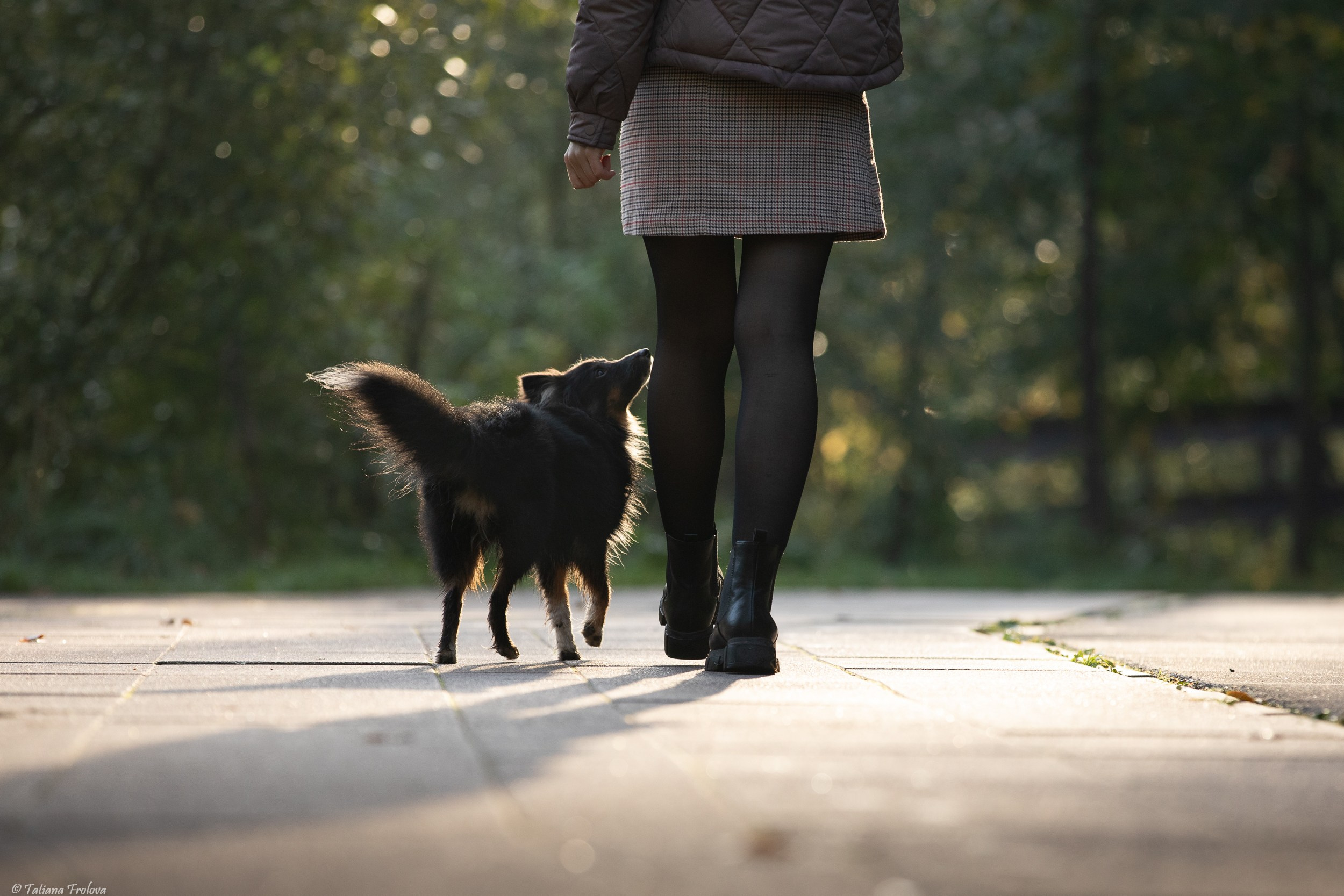 Утренняя фотопрогулка с двумя собаками по Москве. Фотограф-анималист в Москве и Московской области Татьяна Фролова