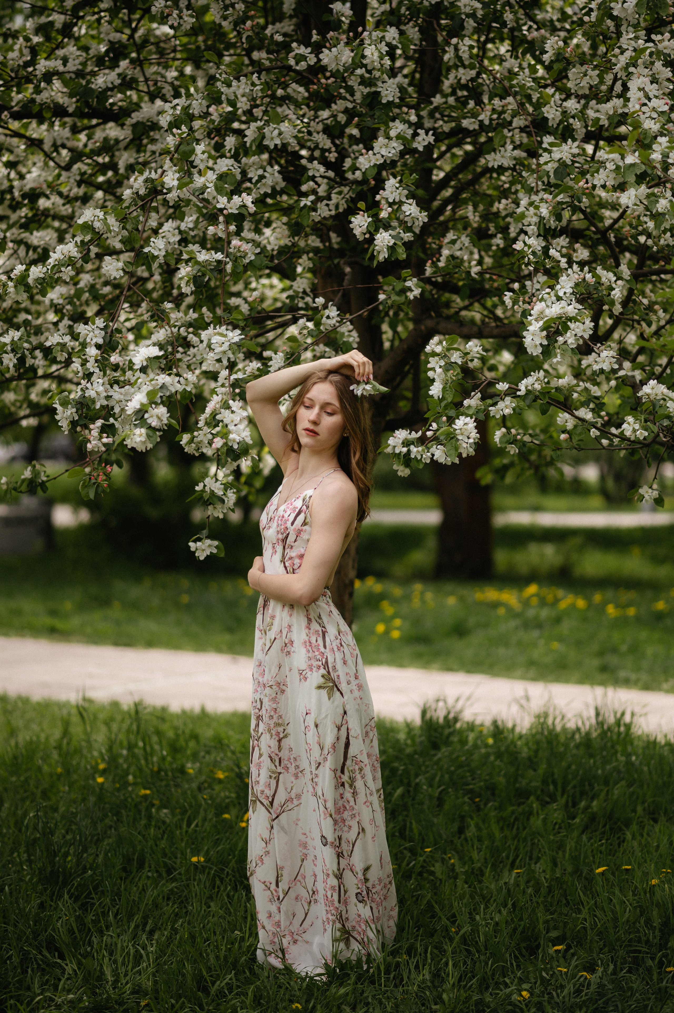 Ксюша, цветение. Главная