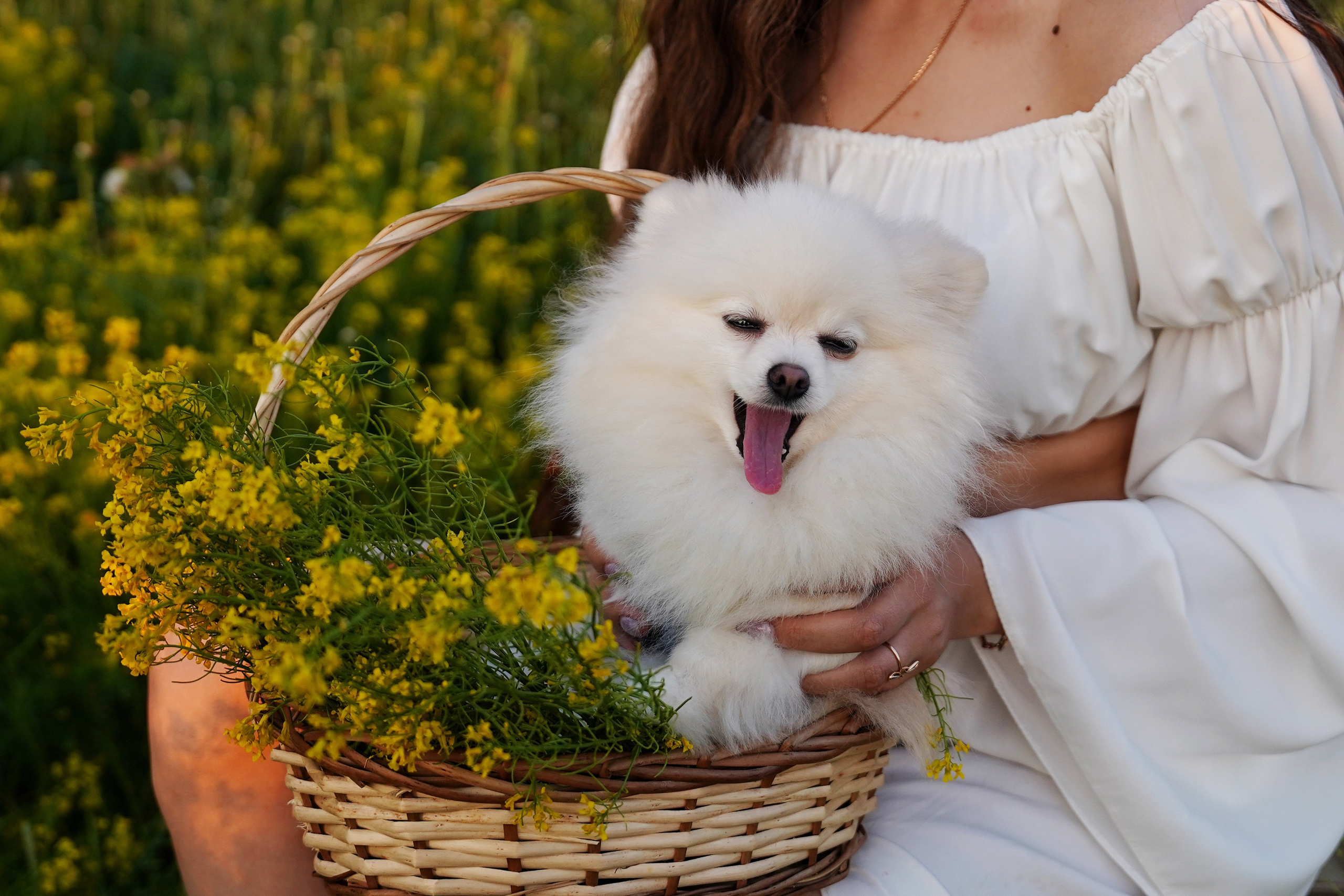 Семейная фотоистория на природе. Главная