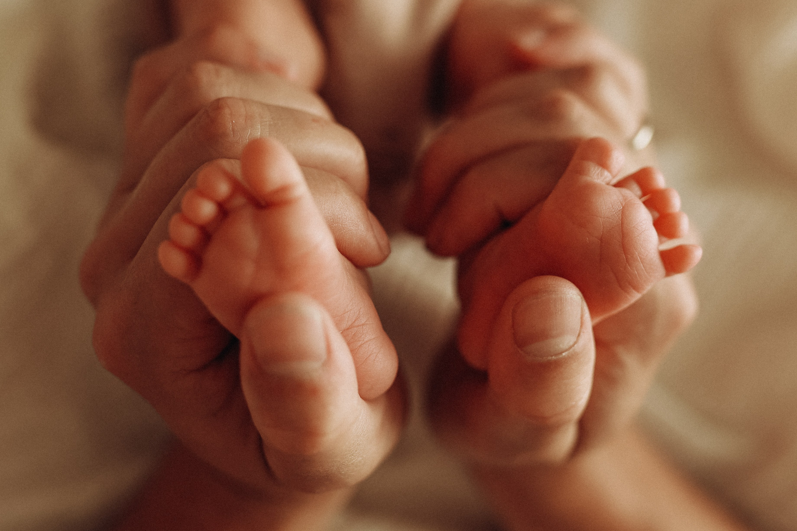 Домашняя фотосессия newborn. Елена Гореликова фотограф в Москве