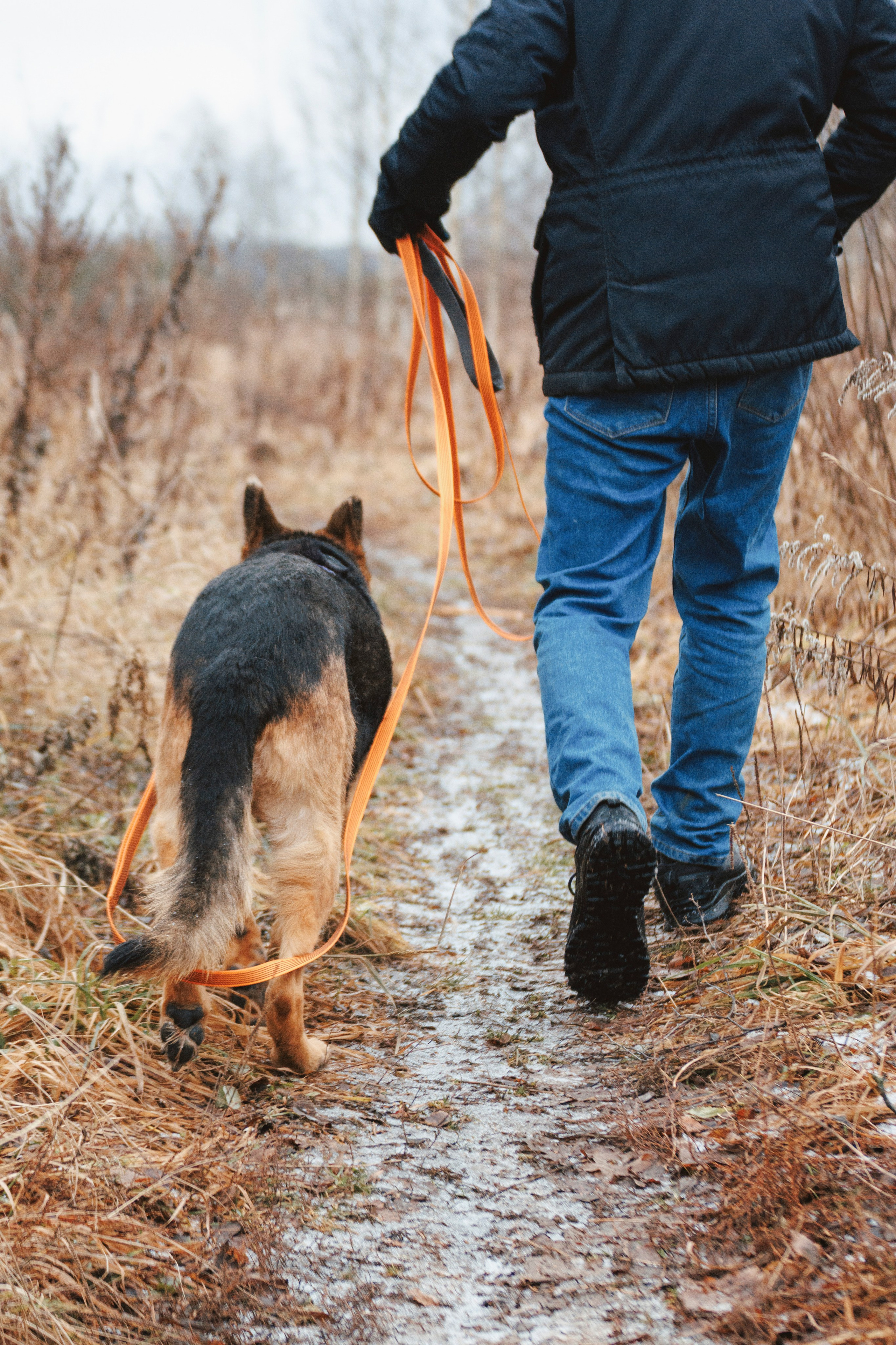 В поисках дома. Стас Соболь, фотограф анималист, репортажник, Москва
