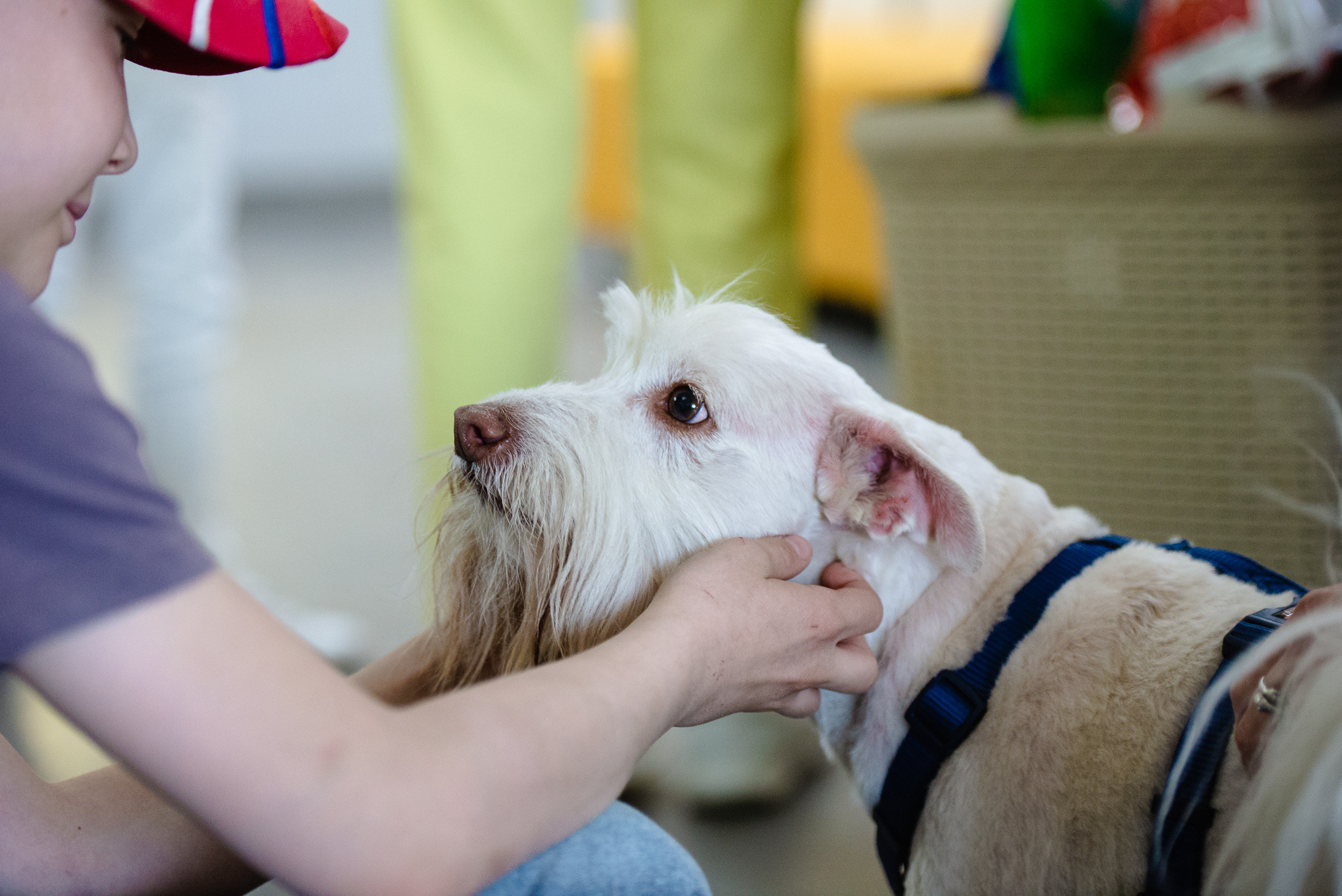 Репортаж. Репортажный и концертный фотограф Алексей Патентный в Екатеринбурге