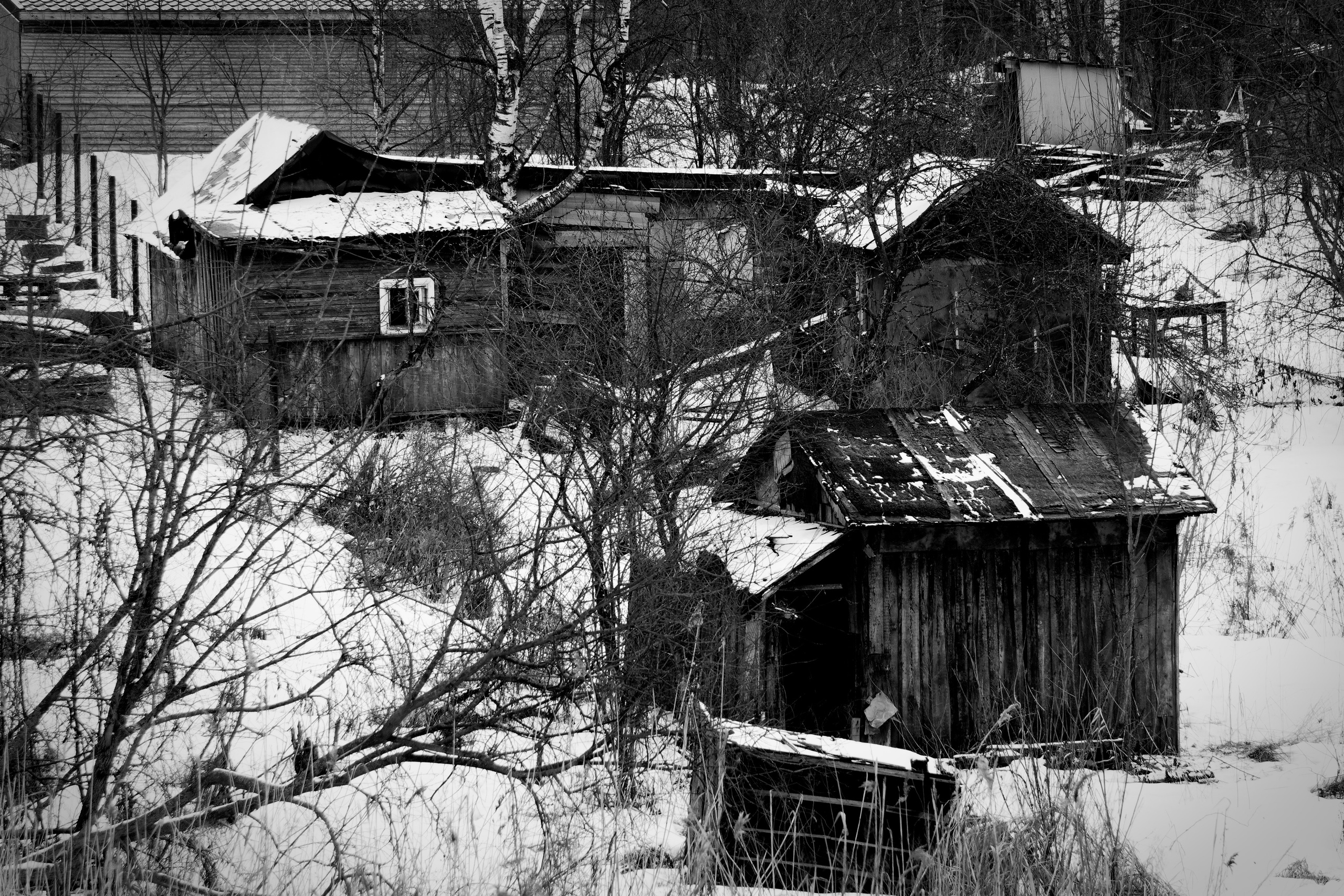Bardo. Роман Ходырев — художник, фотограф, музыкант, эзотериолог. Санкт-Петербург, Рига