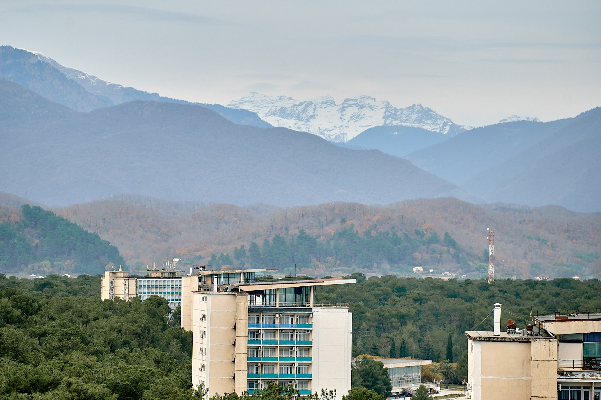 Пицунда, Абхазия. Декабрь 2024. Фотографии отовсюду и обо всем