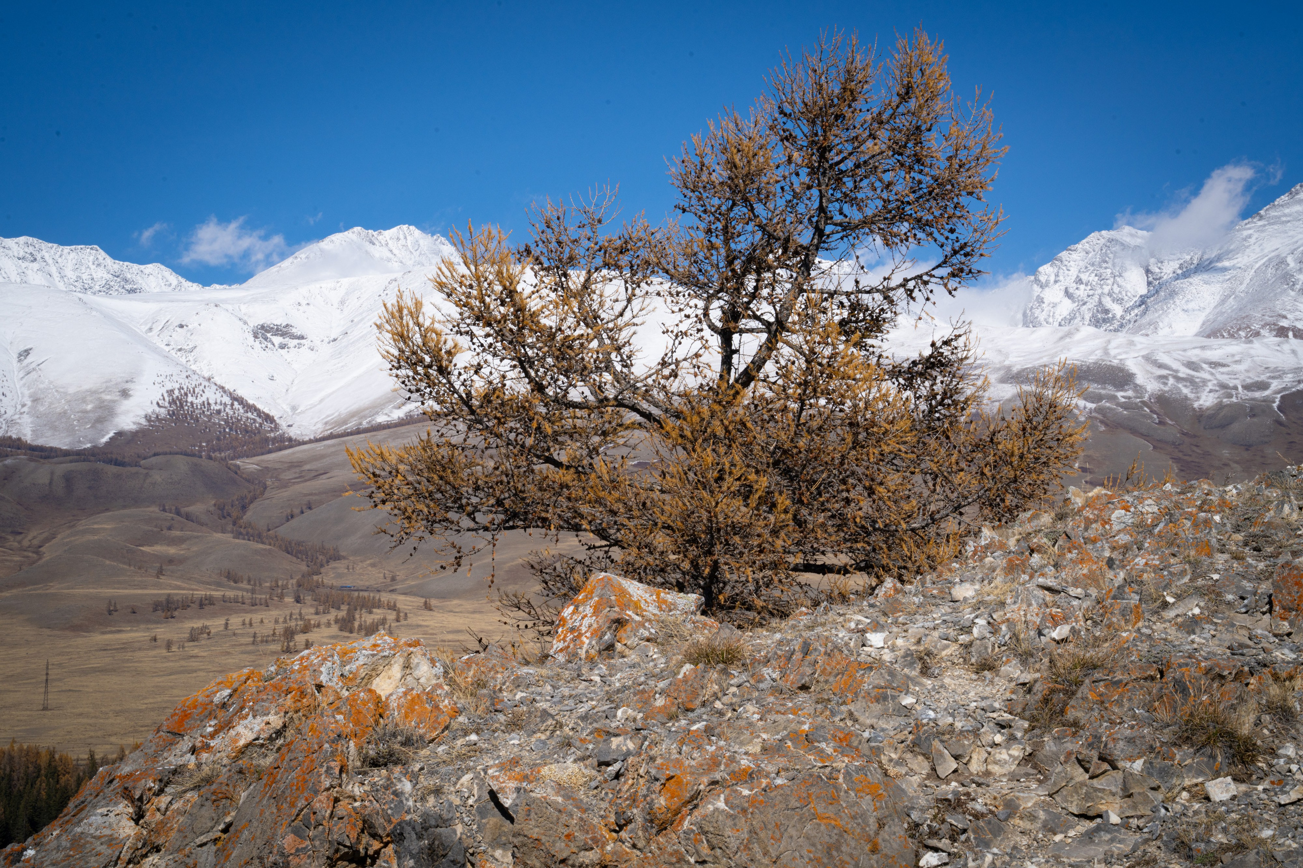 Чуйский тракт. Фотографии Тиграна Худавердяна