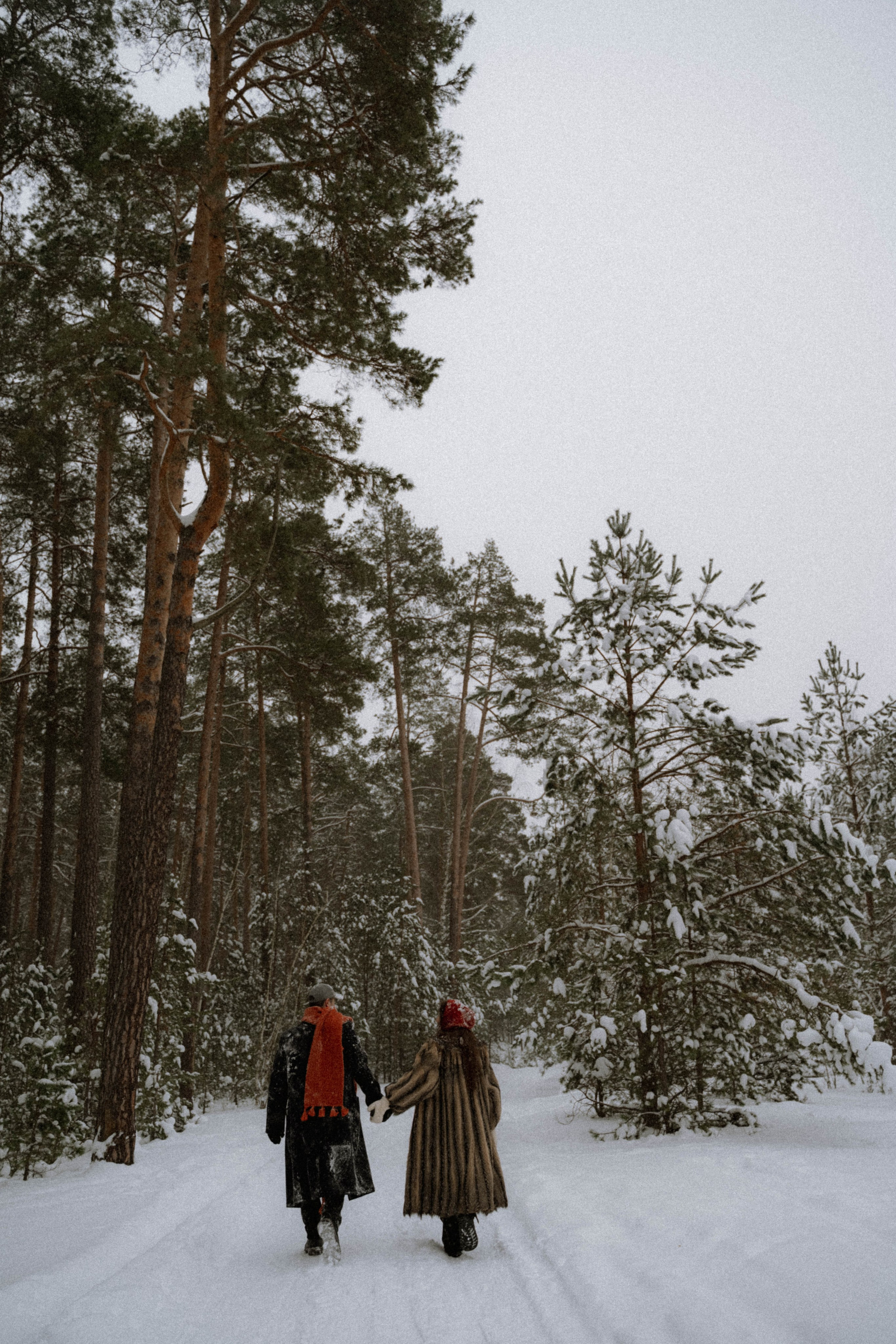 Очень зимние дела. Главная
