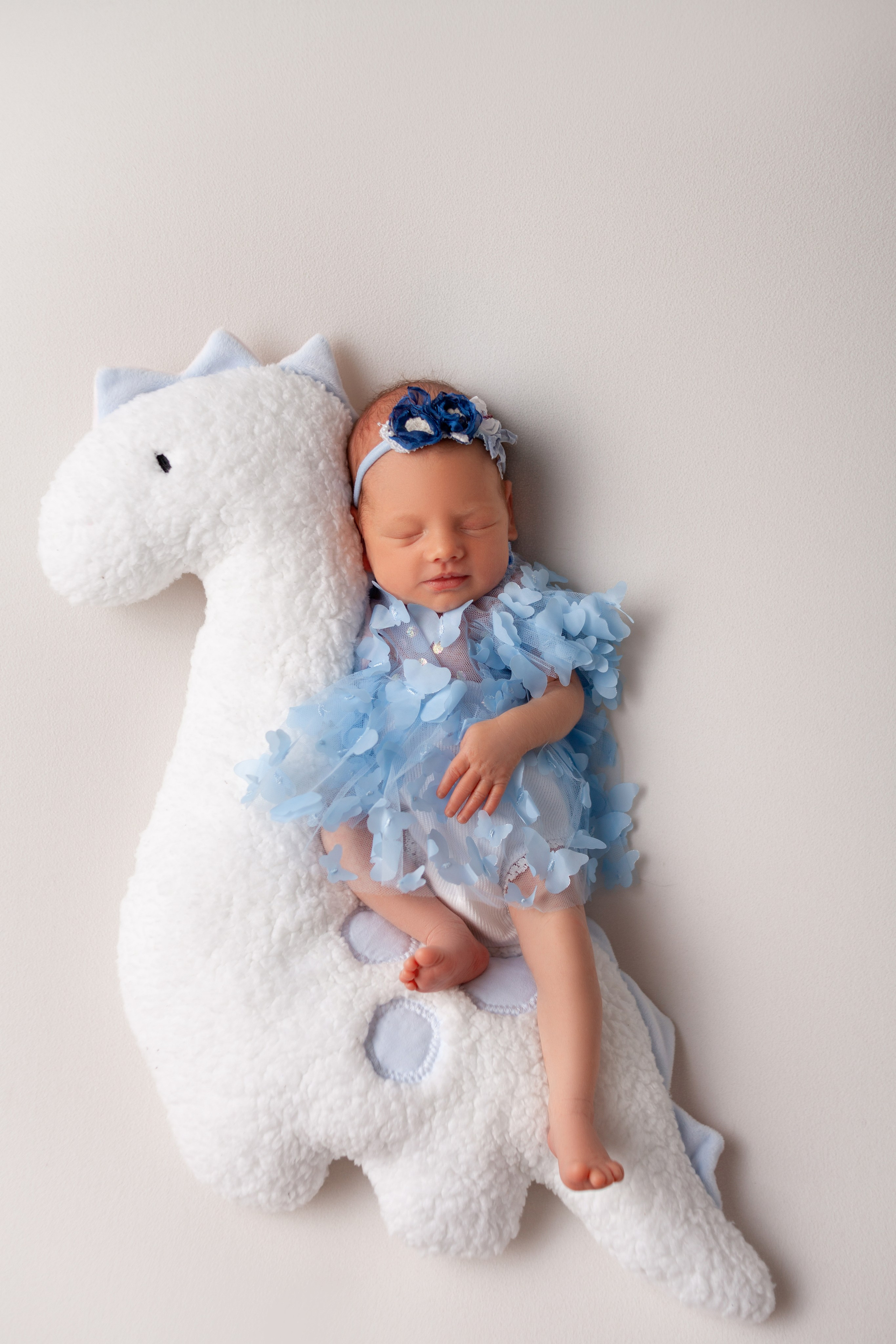 Девочки. Фотограф новорожденных г. Подольск, г. Жуковский, весь юг Москвы и Моск.обл