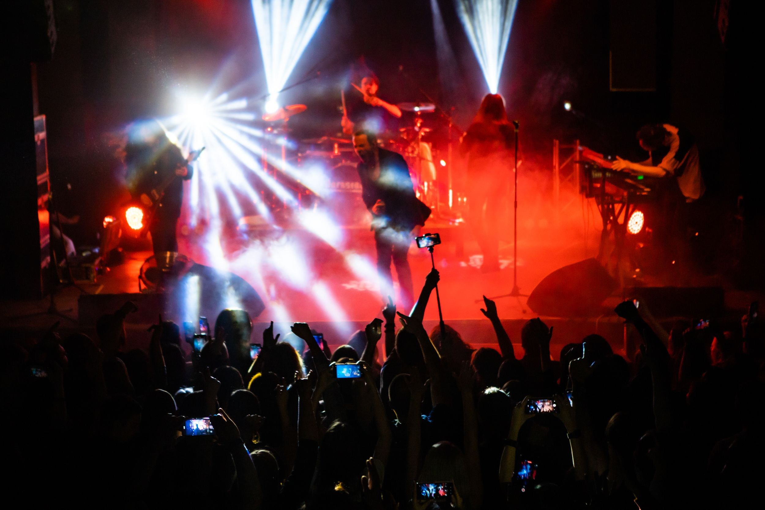 Animal ДжаZ. Репортажный фотограф Алексей Пирязев