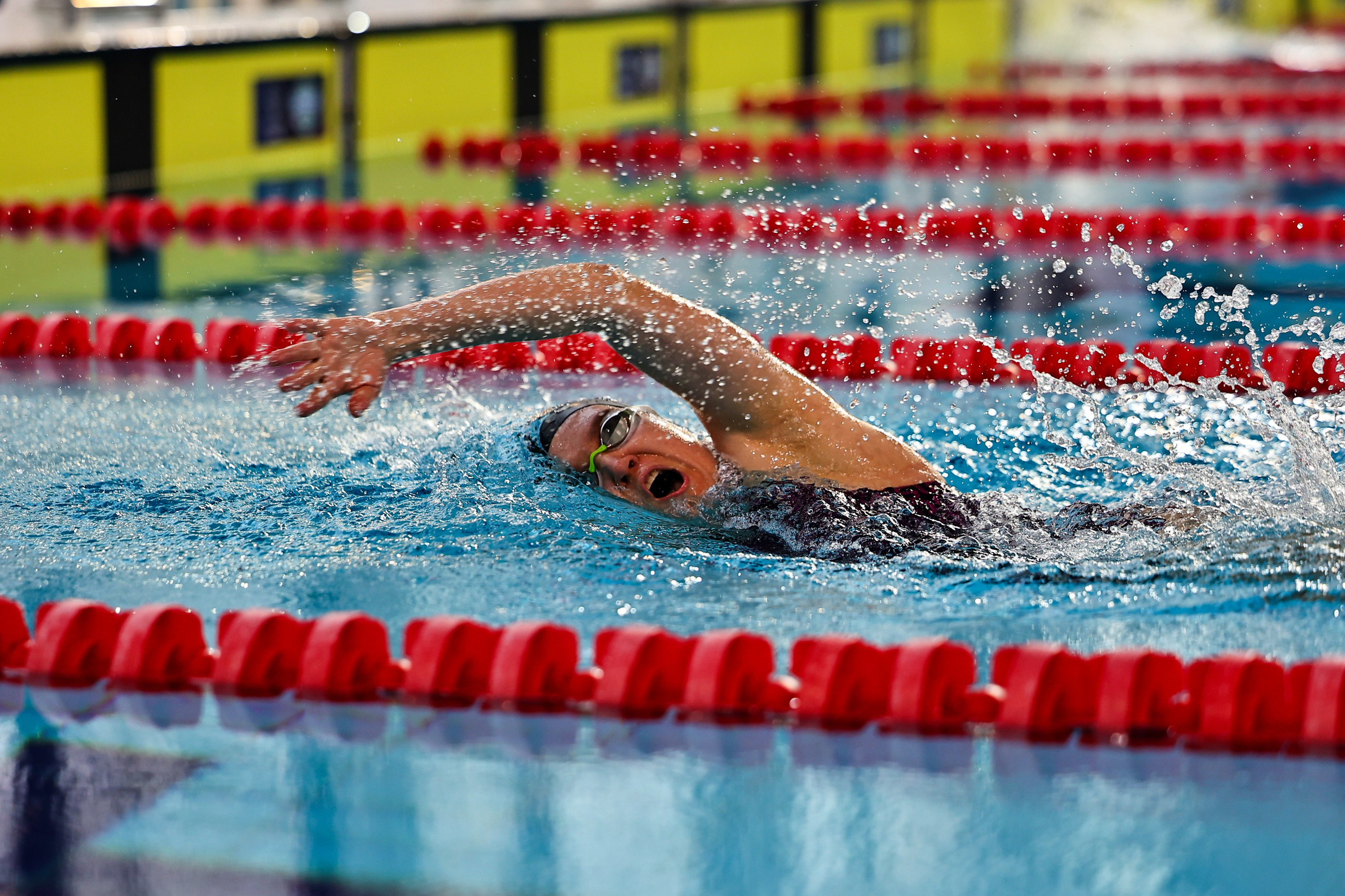 ДЗМ Плавание 2026. Фототерапевт Ева Бунеева