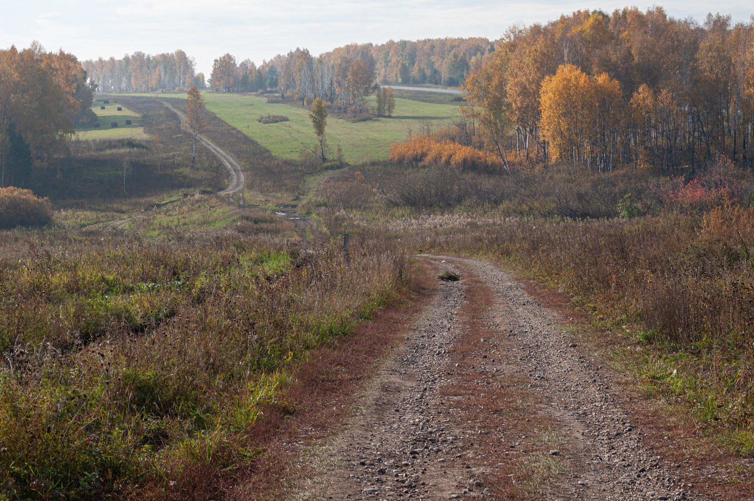 Тракт. Николай Пак