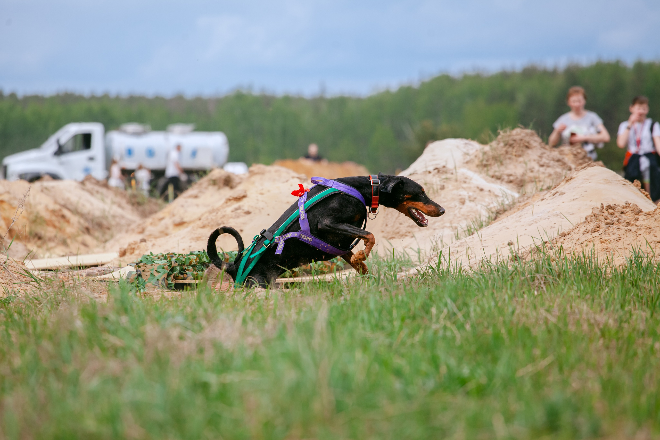 Русский экстрим кросс в Рязанской области 17.05.2025. Фотограф-анималист Татьяна Степанова