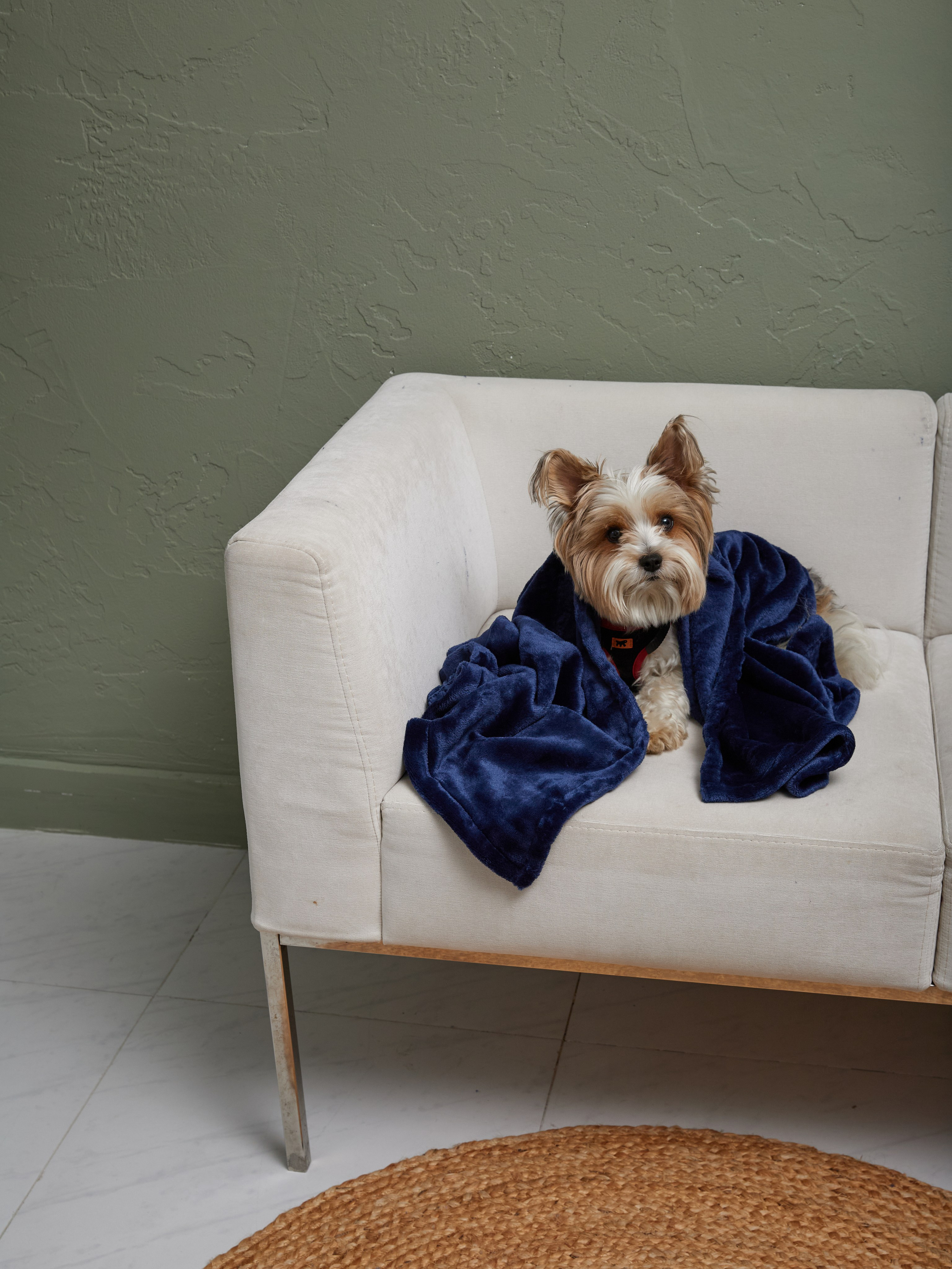 Лежанки. Фотограф