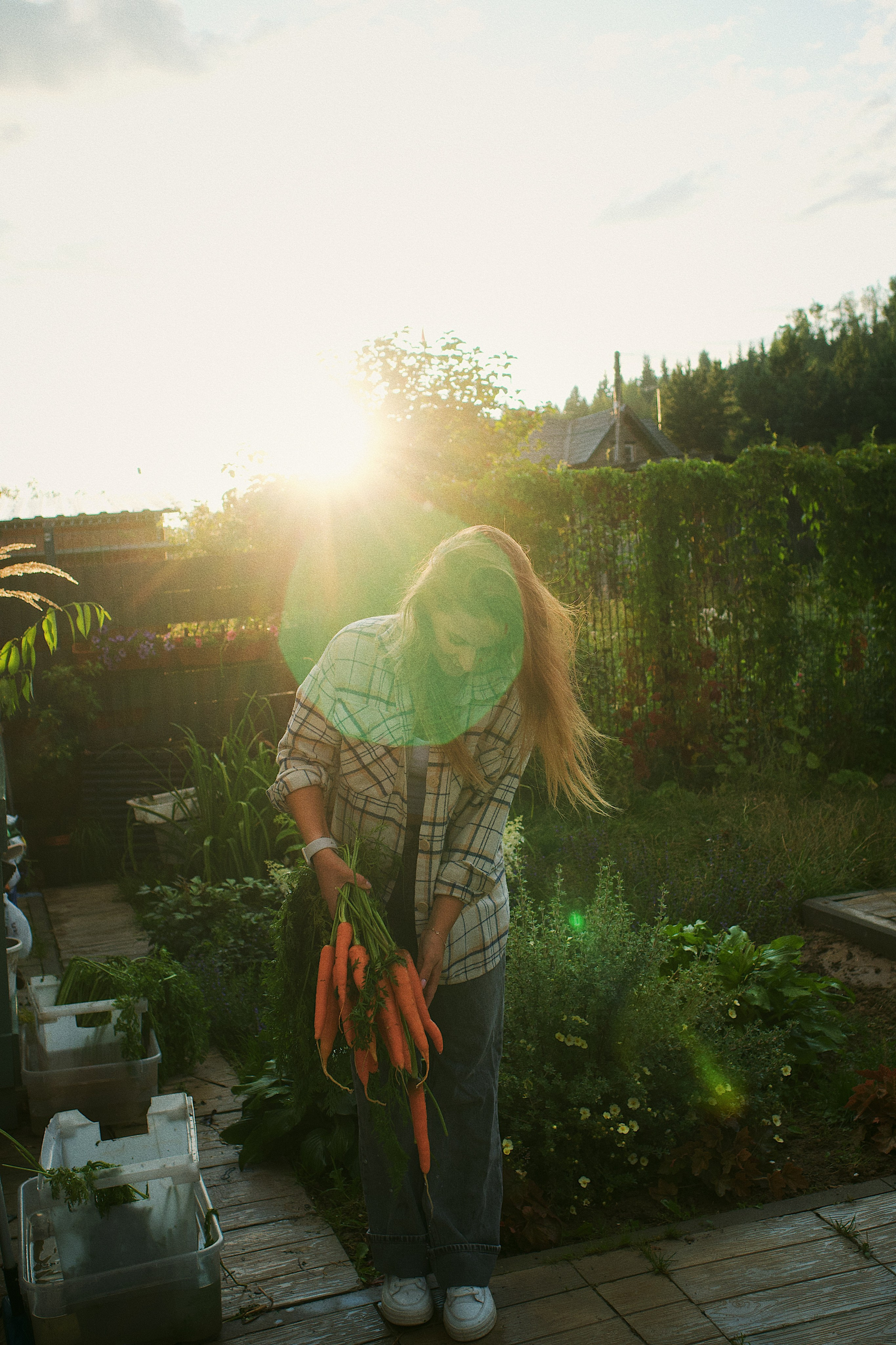 Fazenda. Photokoval.ru