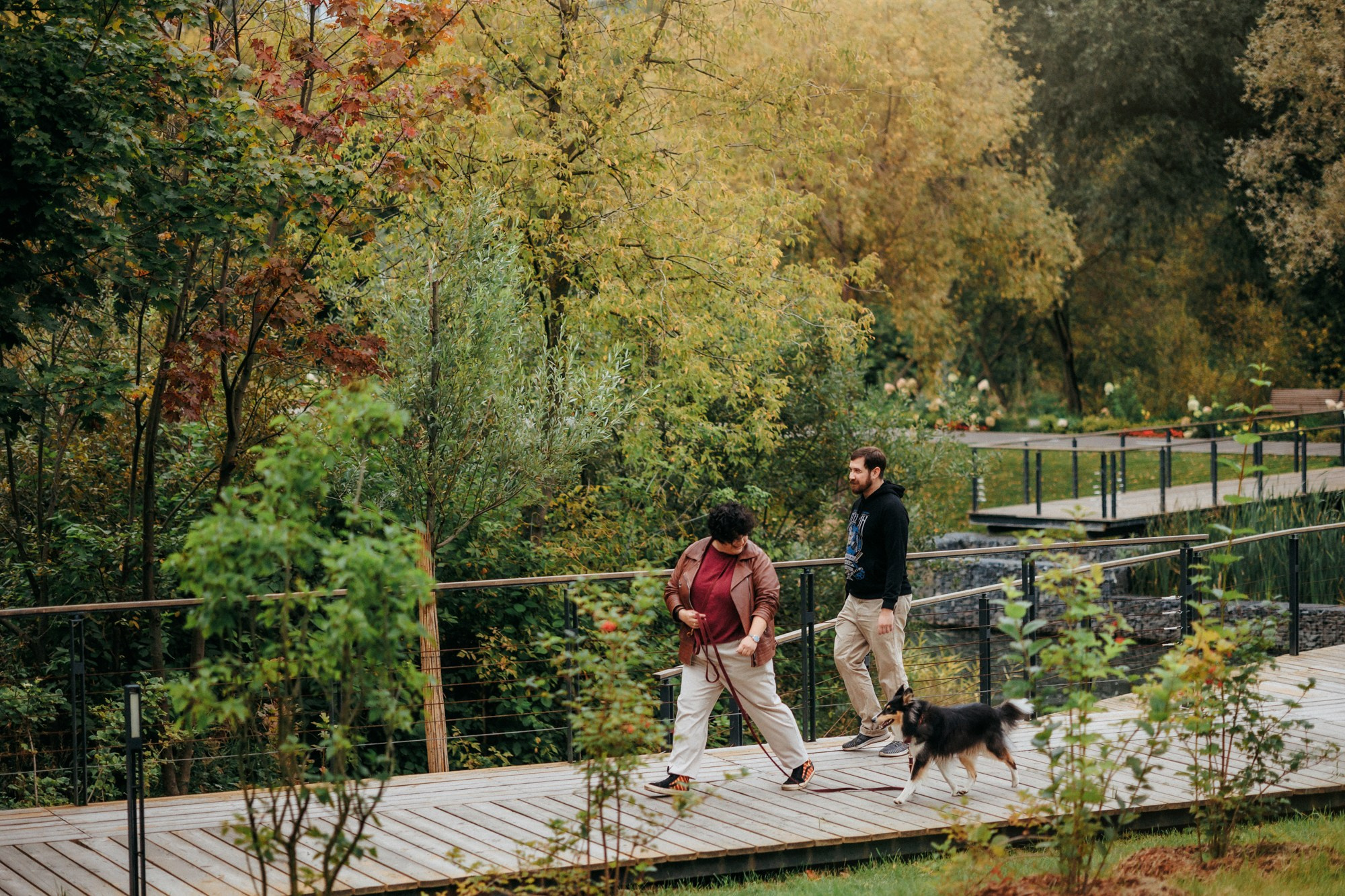 Федор, Саша и Груша. Фотограф-анималист Елена Радченко, Москва