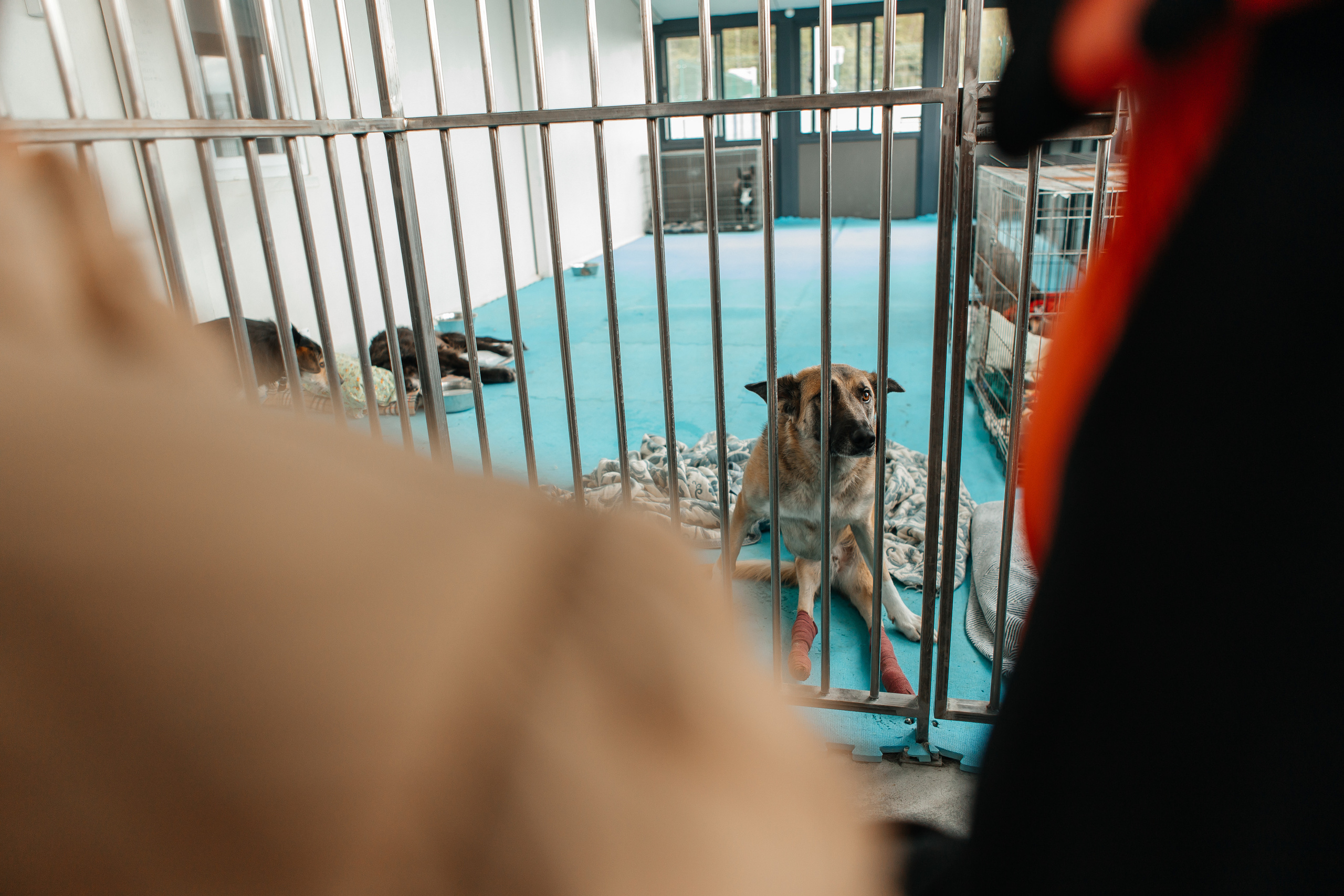 Фестиваль " Юна FEST 2022». Репортажная фотосъемка мероприятий в Москве — Five Media