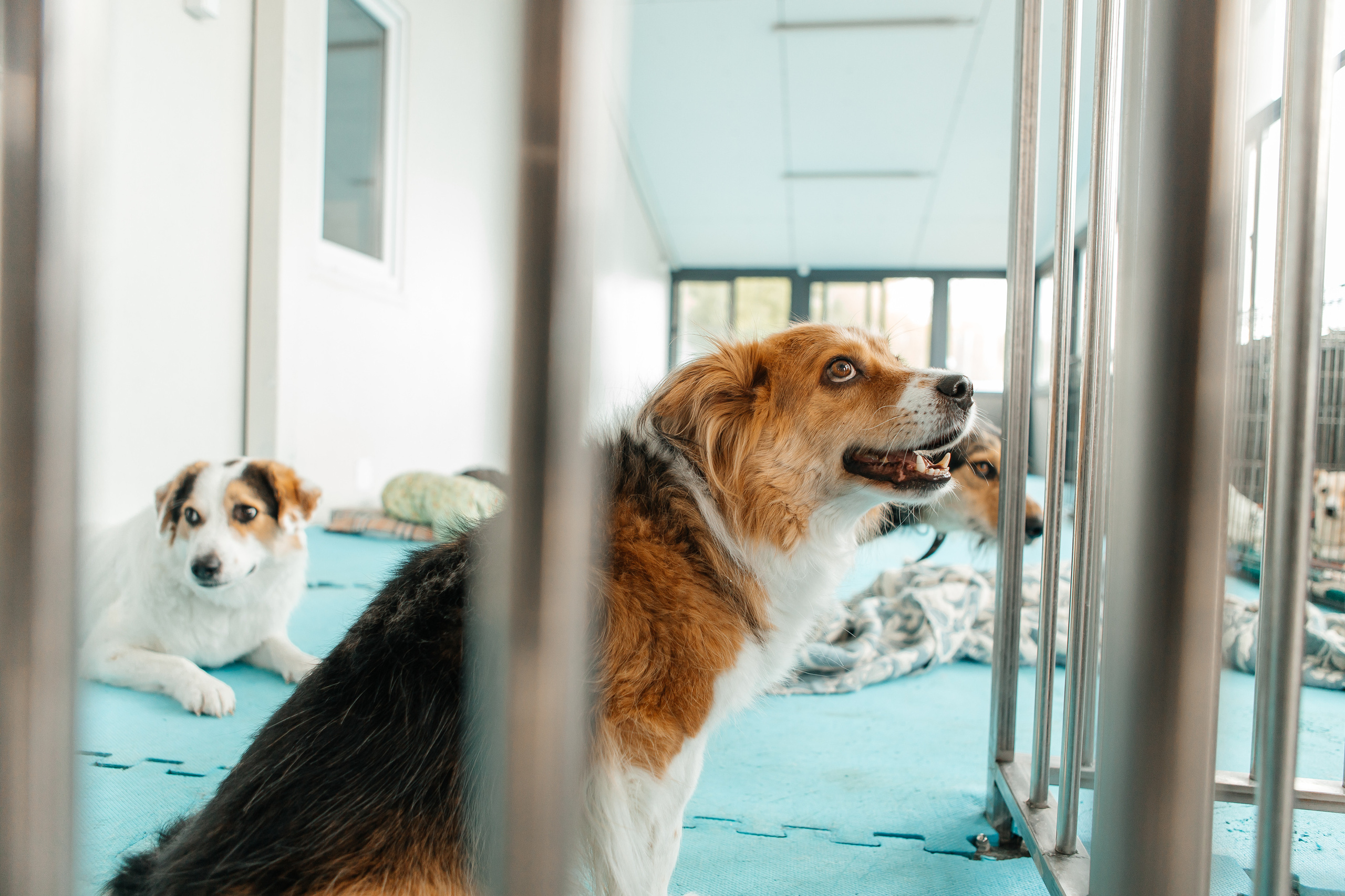 Фестиваль " Юна FEST 2022». Репортажная фотосъемка мероприятий в Москве — Five Media