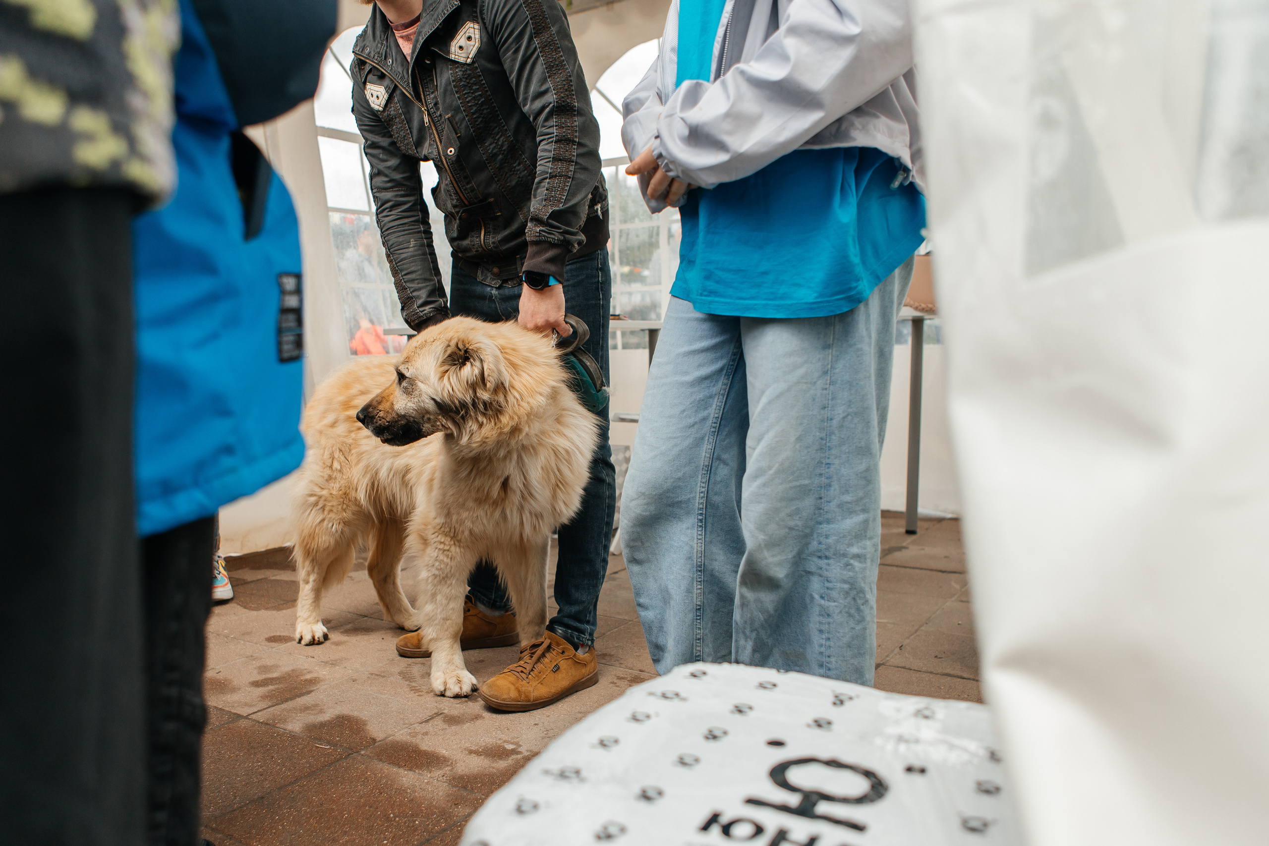 Фестиваль " Юна FEST 2022». Репортажная фотосъемка мероприятий в Москве — Five Media
