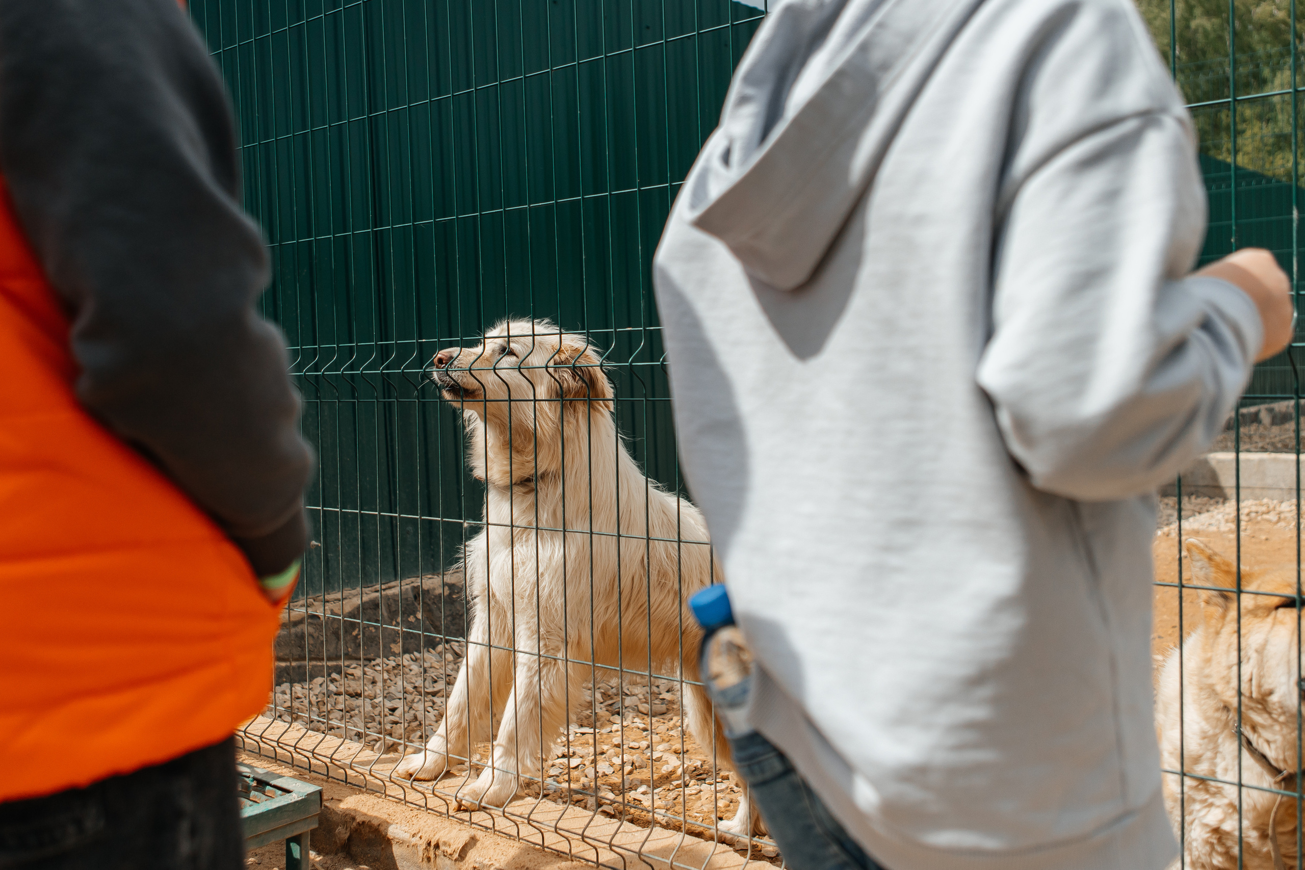 Фестиваль " Юна FEST 2022». Репортажная фотосъемка мероприятий в Москве — Five Media