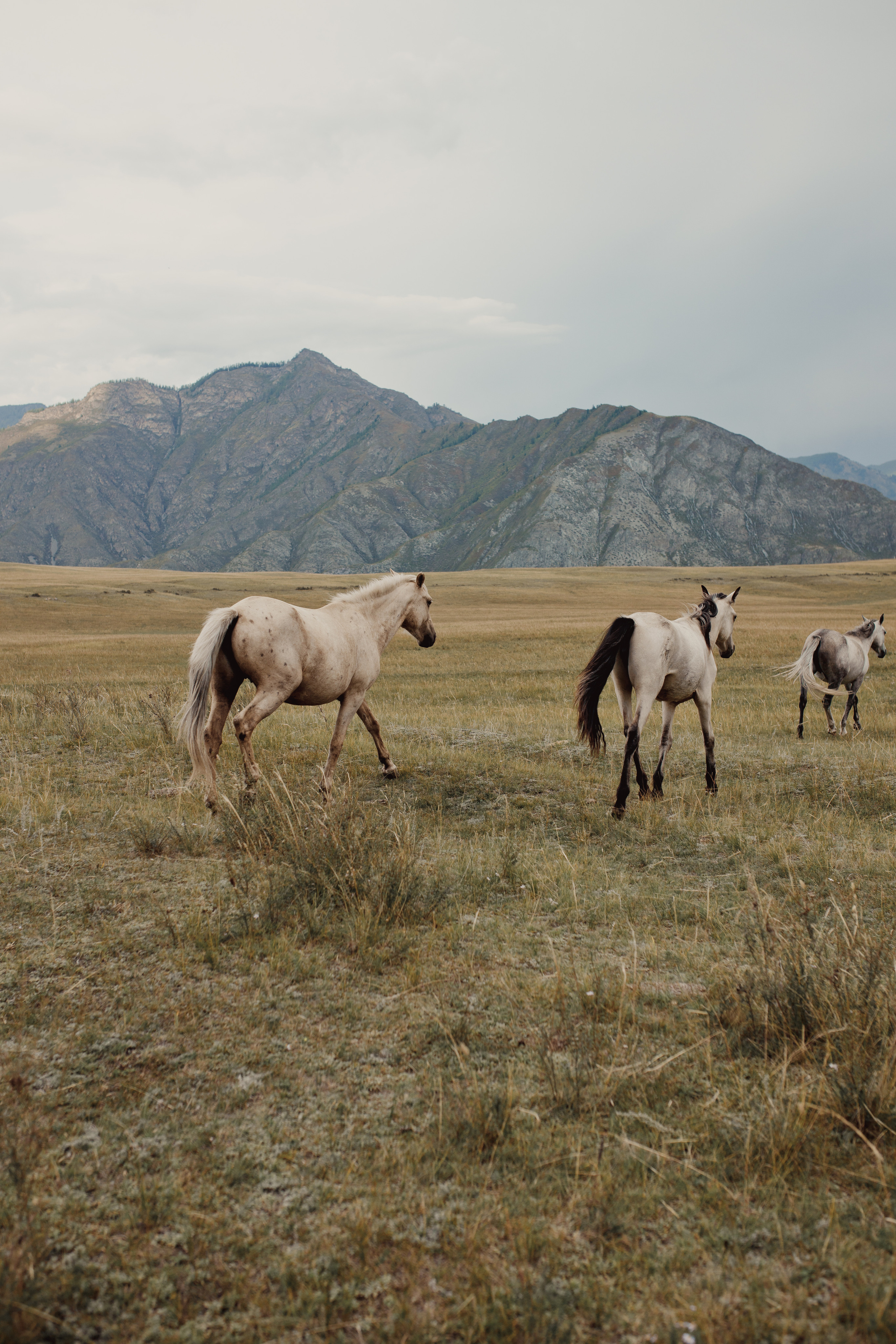 Travel-сьемка для проекта #ПРОТУР. Репортажная фотосъемка мероприятий в Москве — Five Media