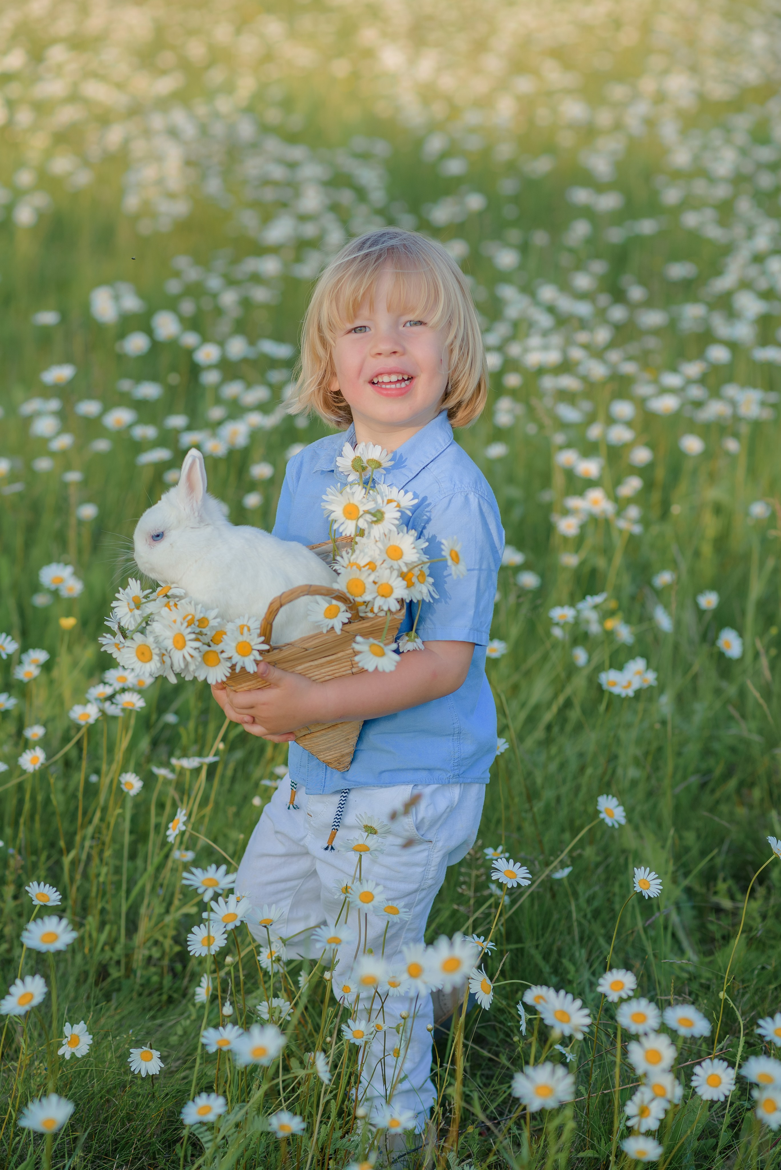 Ромашковое поле. Семейный фотограф в Рязани Мария Ермакова