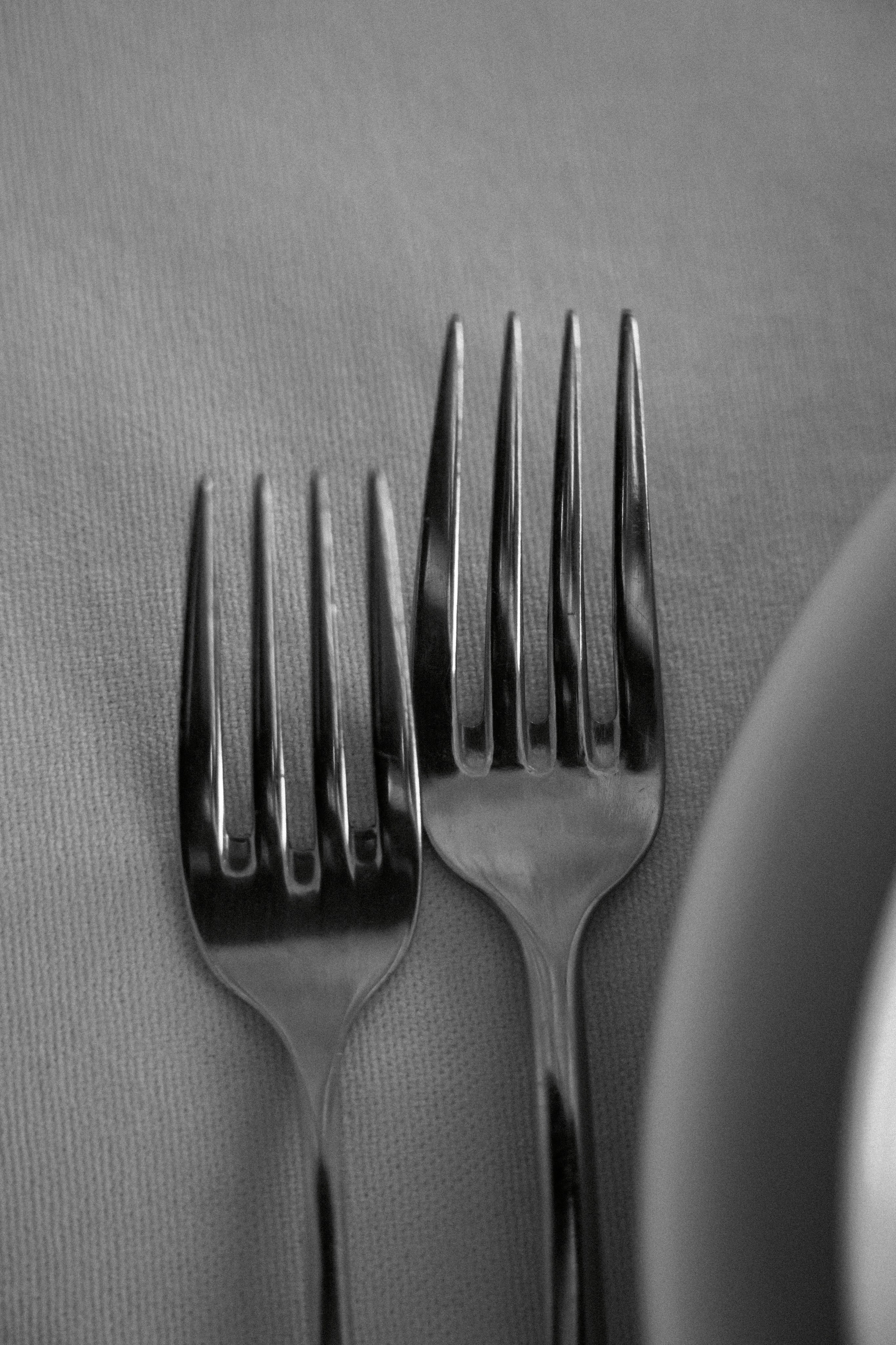 МЫ С ТОБОЮ СВЯЗАНЫ. Фотограф Наталия Бирюкова