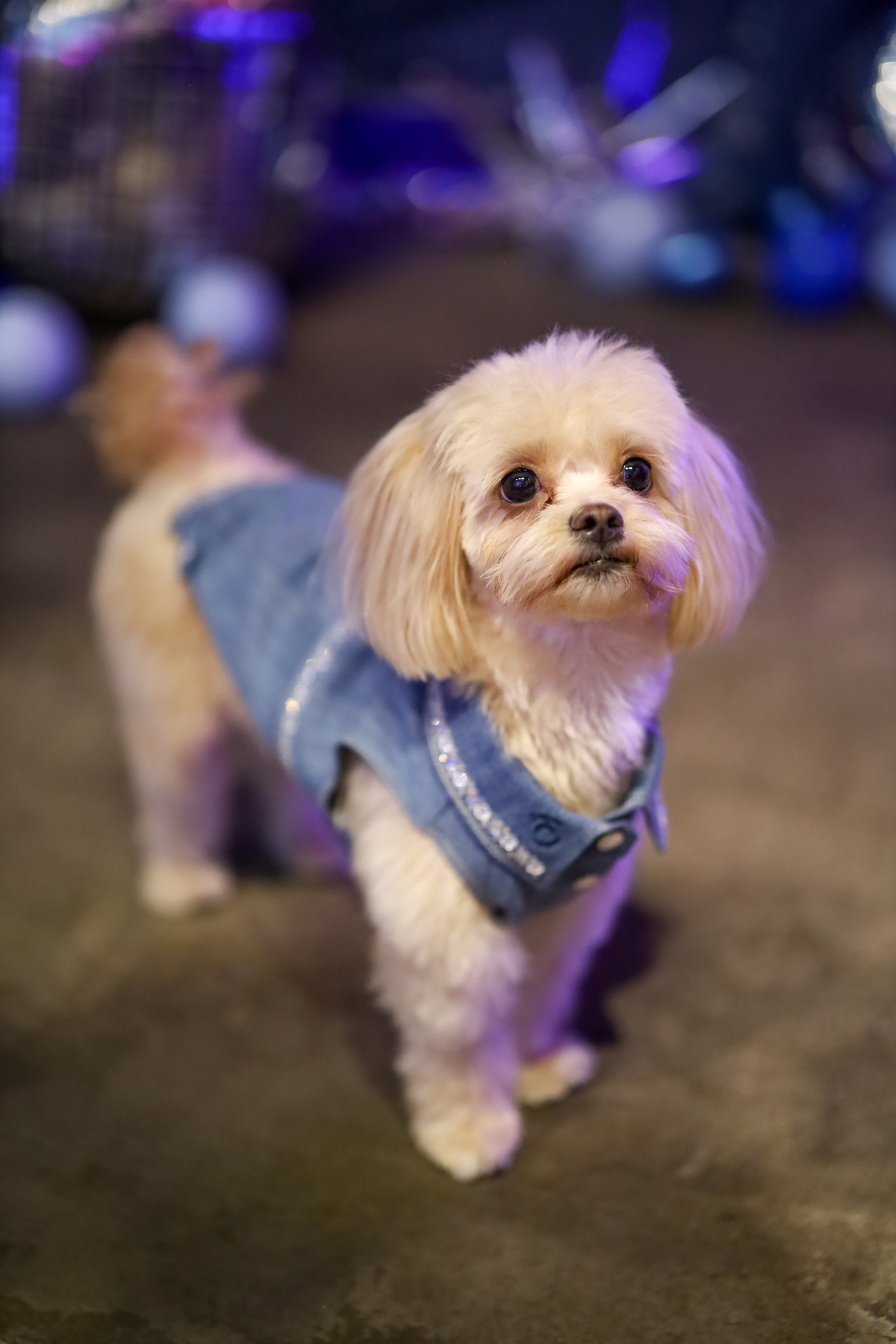 ДЕНЬ РОЖДЕНИЯ СОФИИ В UPLINE SPACE. Фотограф мероприятий Ирина Каширина