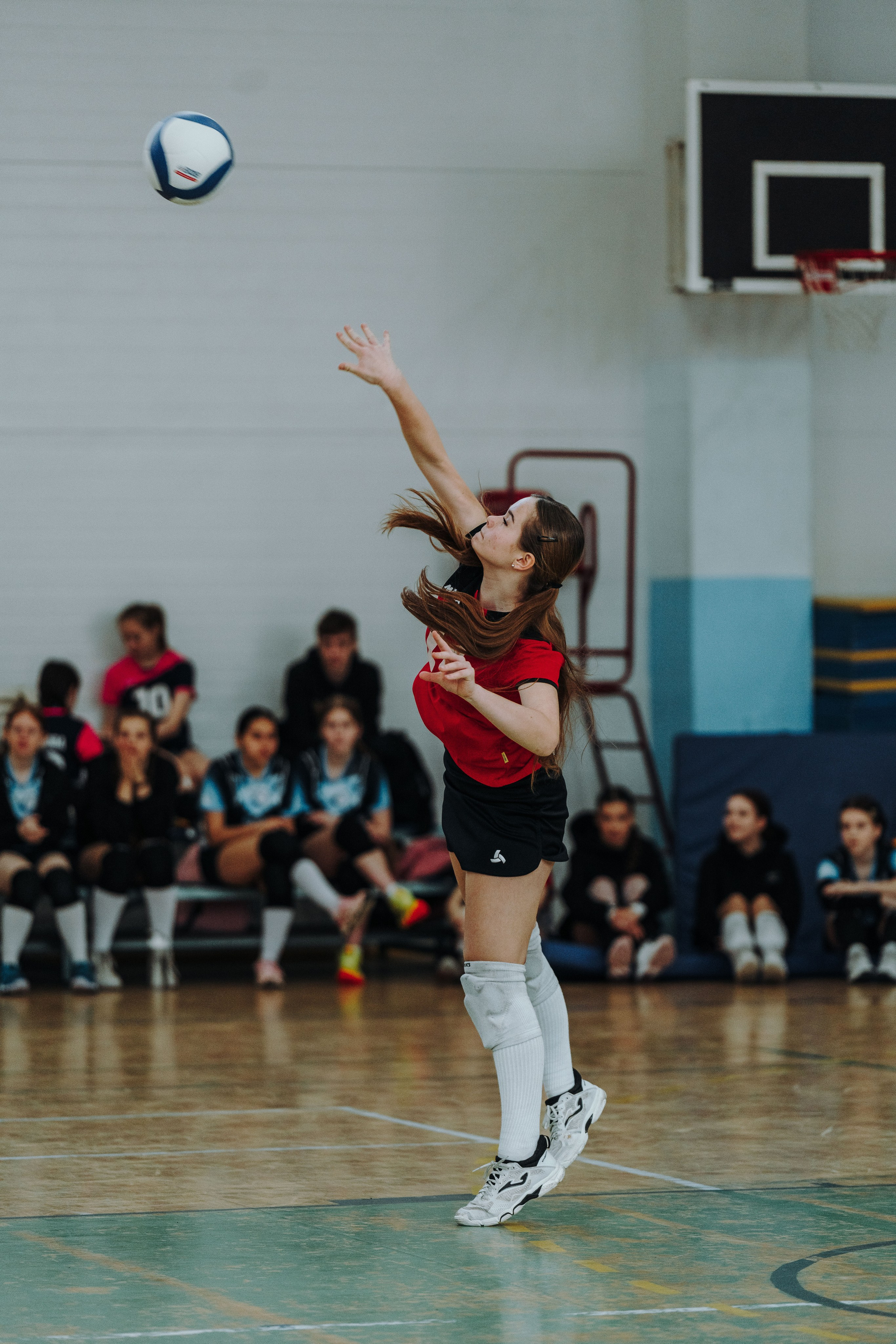 Волейбол торус. Фотограф-анималист в Санкт-Петербурге