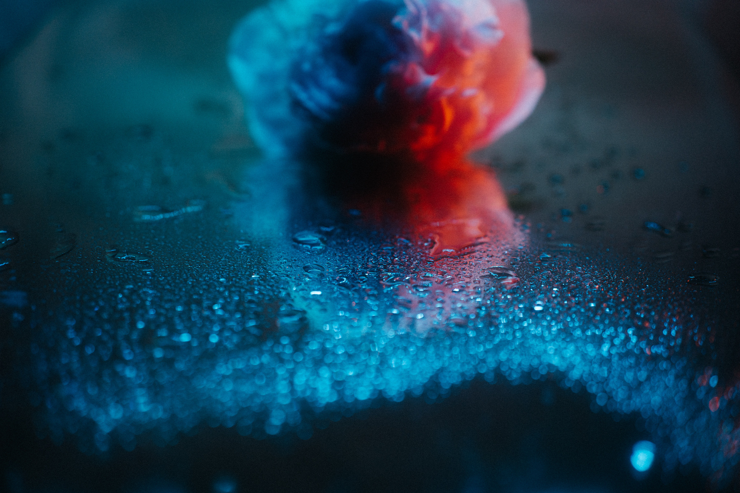 Цветошки. Фотограф на любое событие в Кемерово