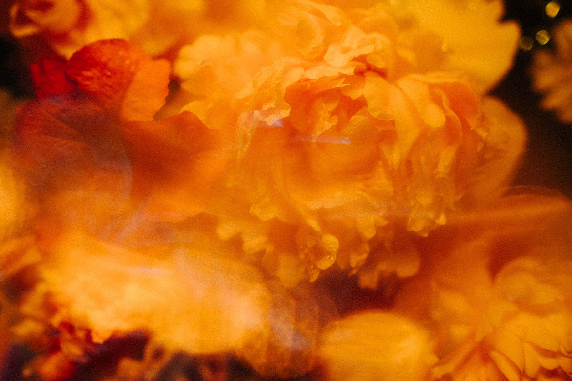 Цветошки. Фотограф на любое событие в Кемерово