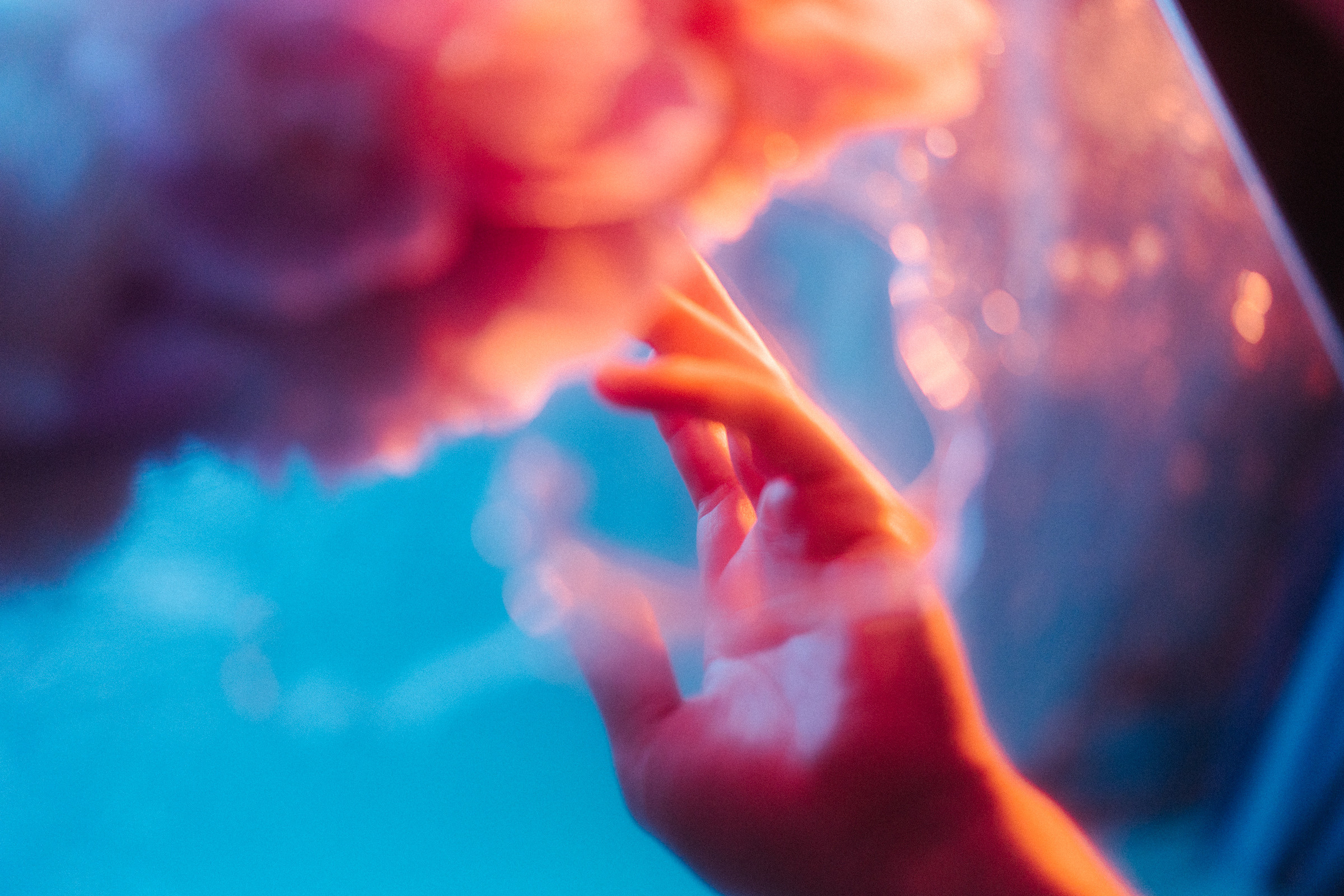 Цветошки. Фотограф на любое событие в Кемерово