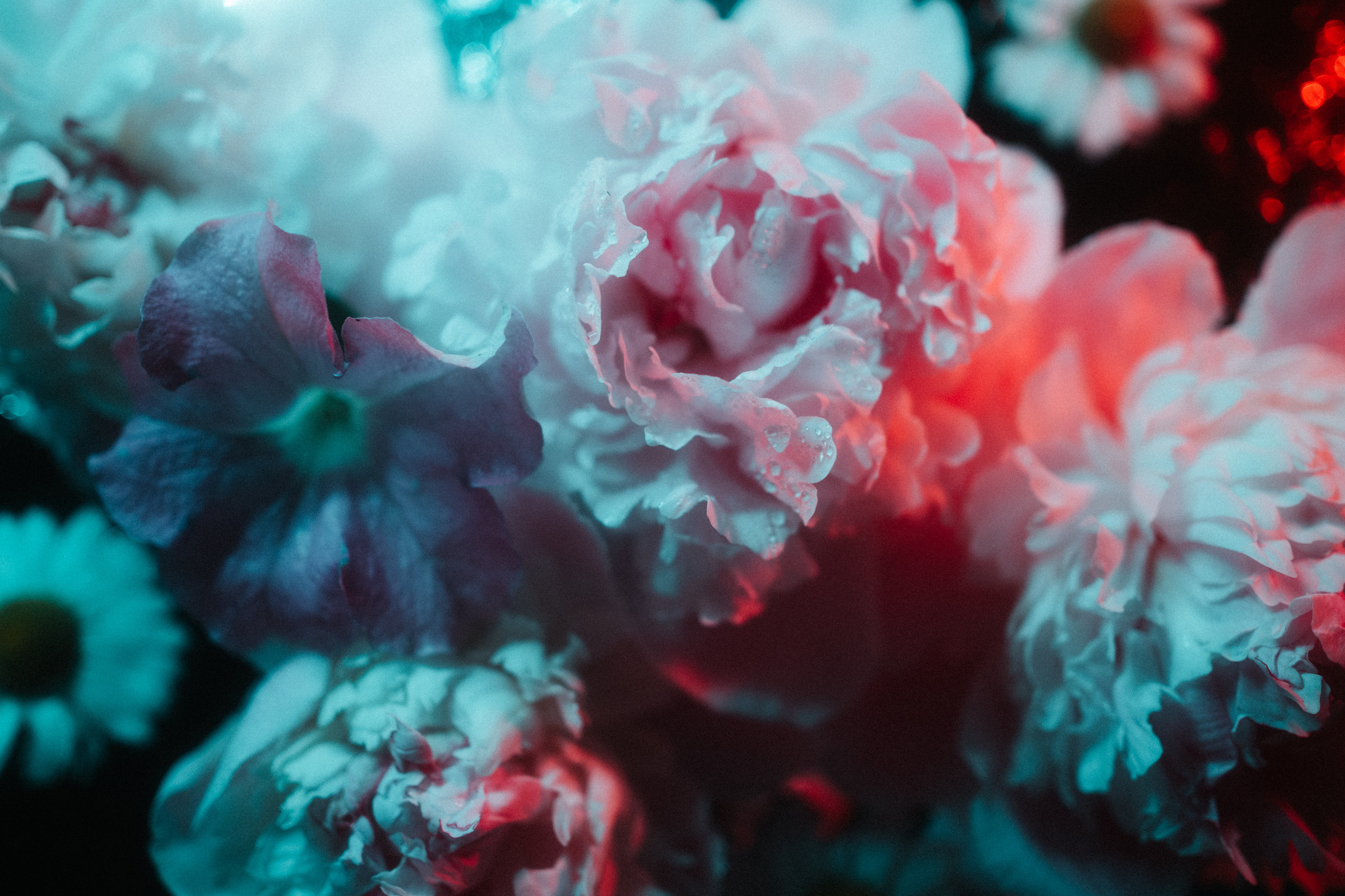 Цветошки. Фотограф на любое событие в Кемерово