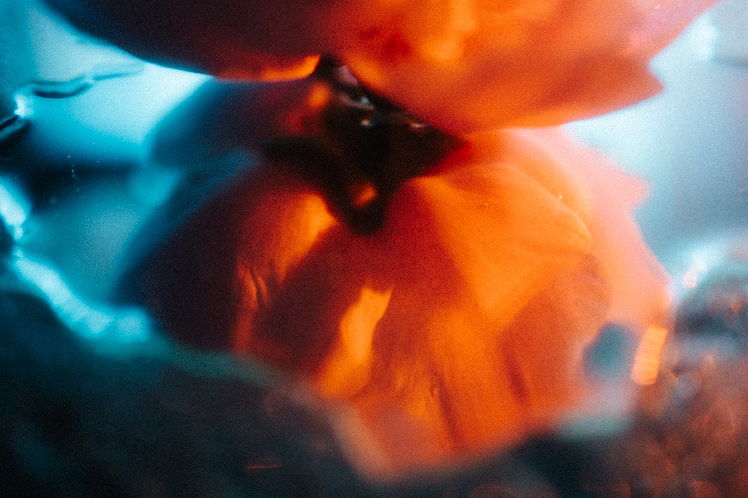 Цветошки. Фотограф на любое событие в Кемерово