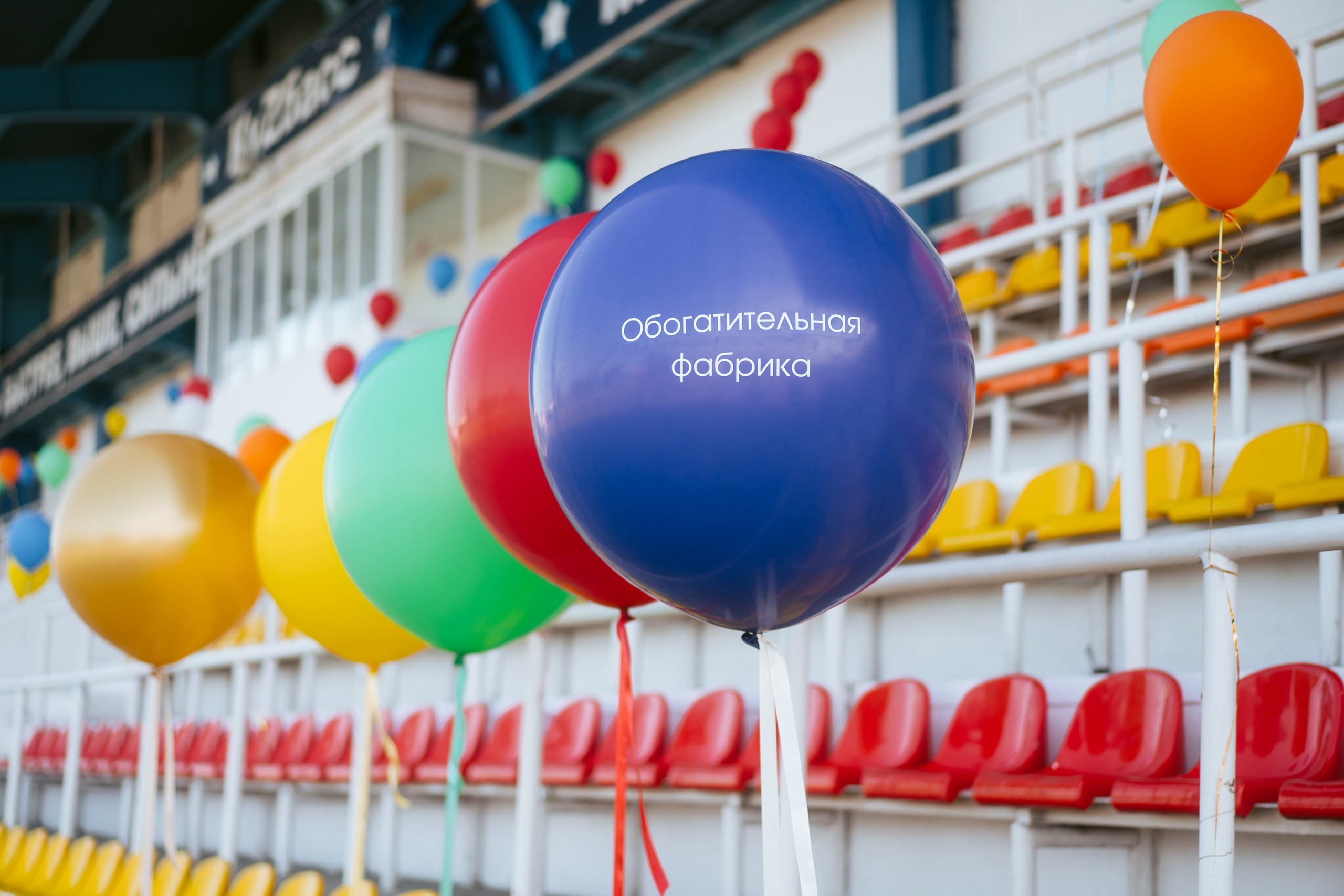 Спартакиада. Фотограф на любое событие в Кемерово