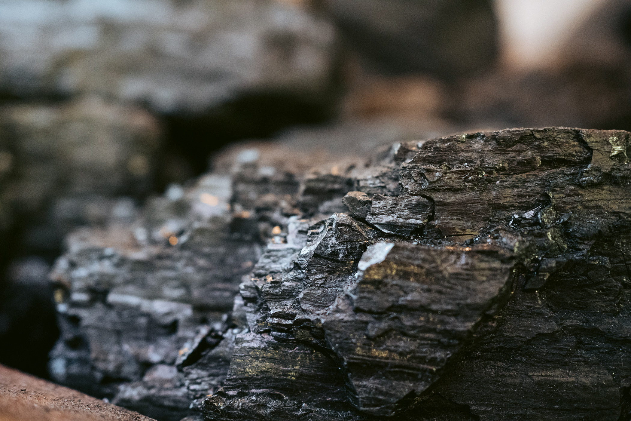 Краеведческий музей. Фотограф на любое событие в Кемерово