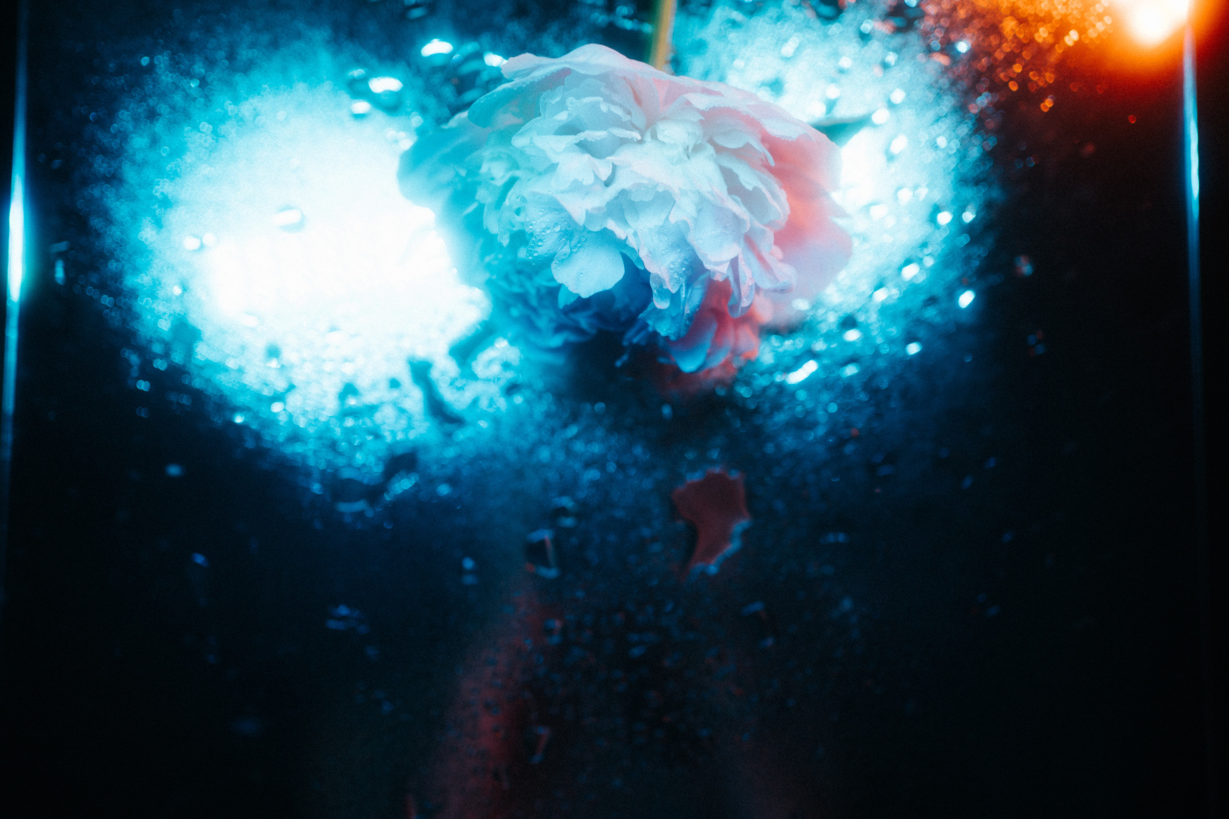 Цветошки. Фотограф на любое событие в Кемерово