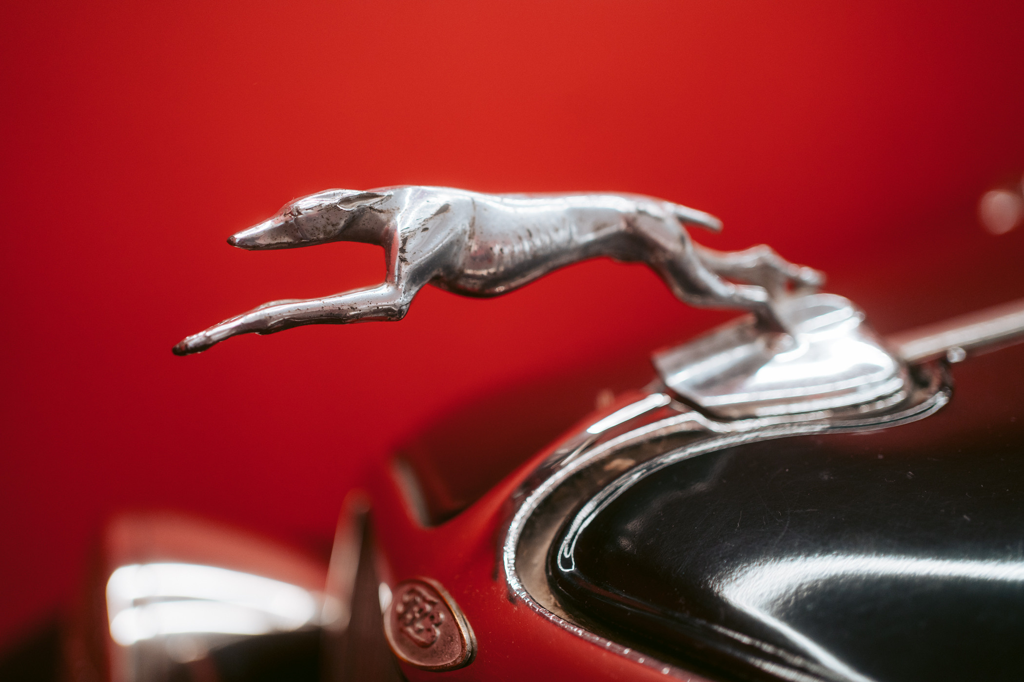 Краеведческий музей. Фотограф на любое событие в Кемерово